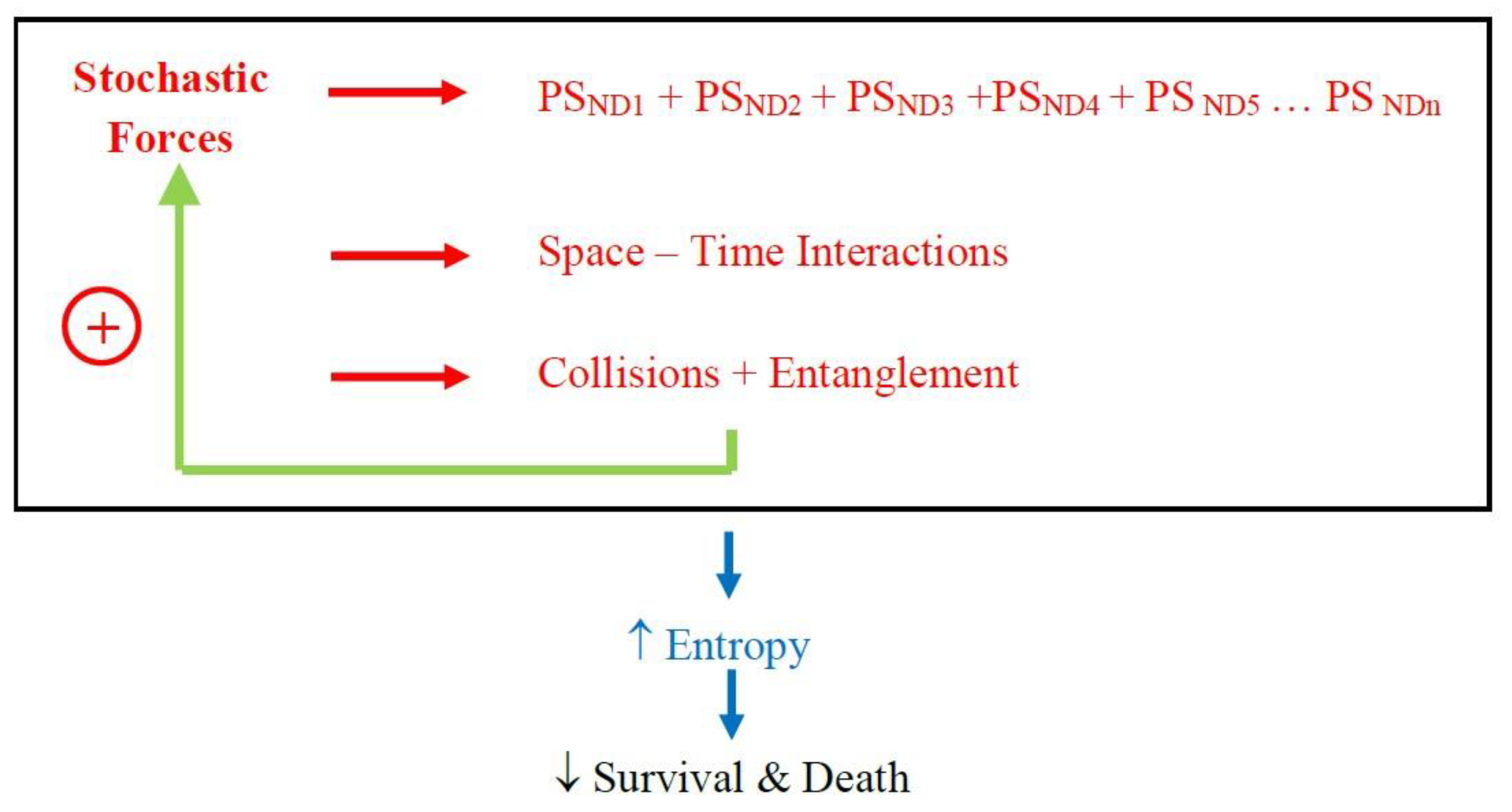 Brainsci 12 00226 g004 550