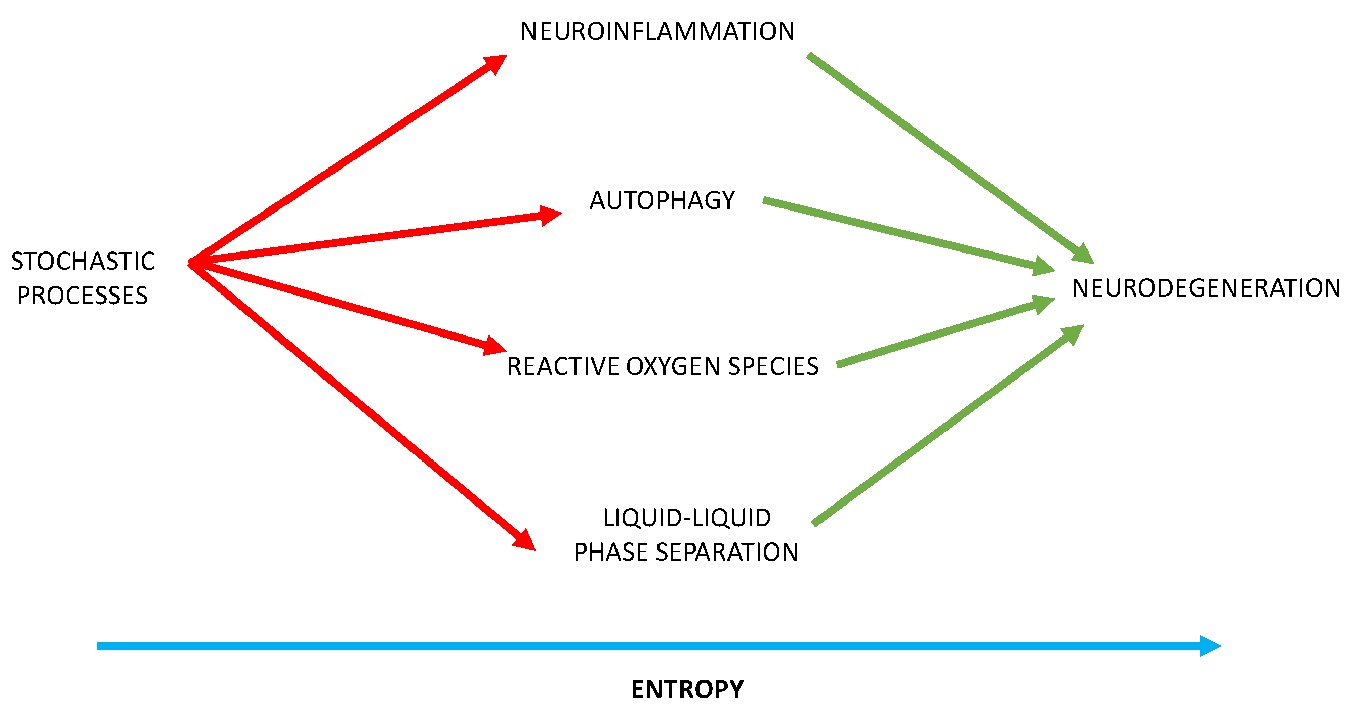 Brainsci 12 00226 g006 550