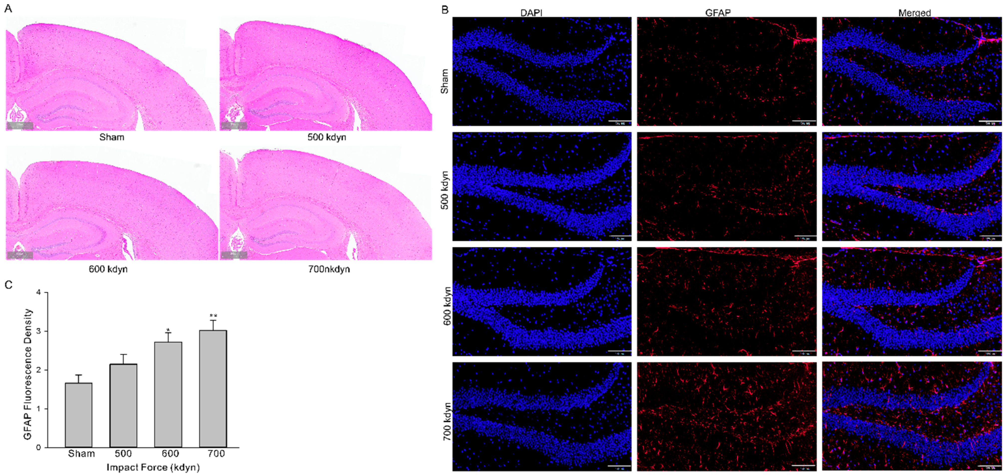 Brainsci 12 00232 g002