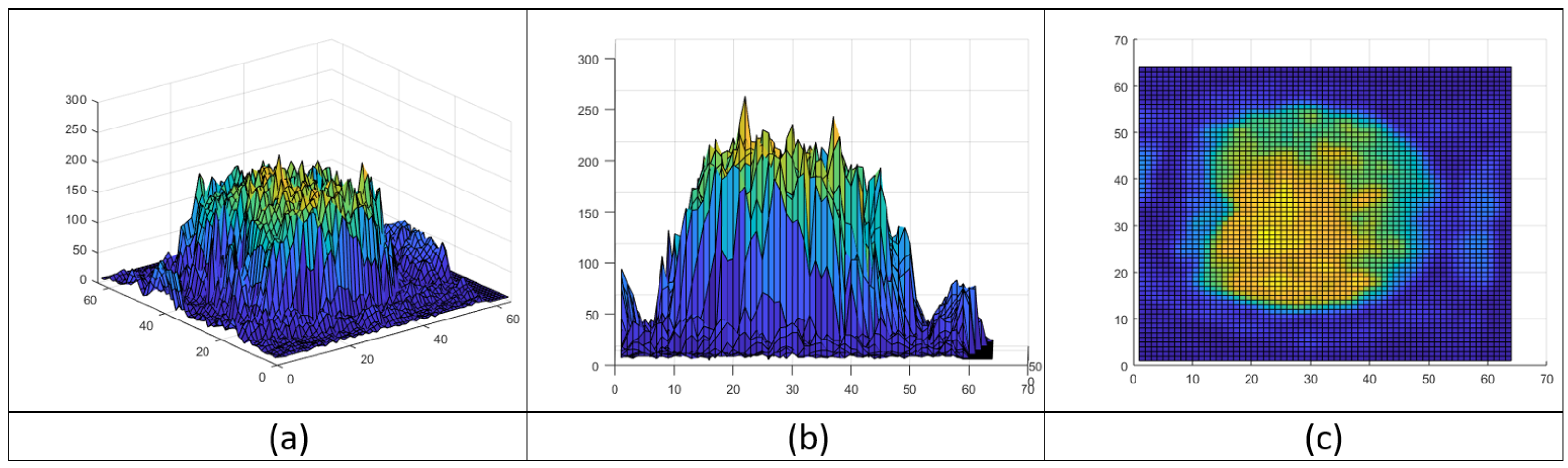 Brainsci 12 00235 g001 550
