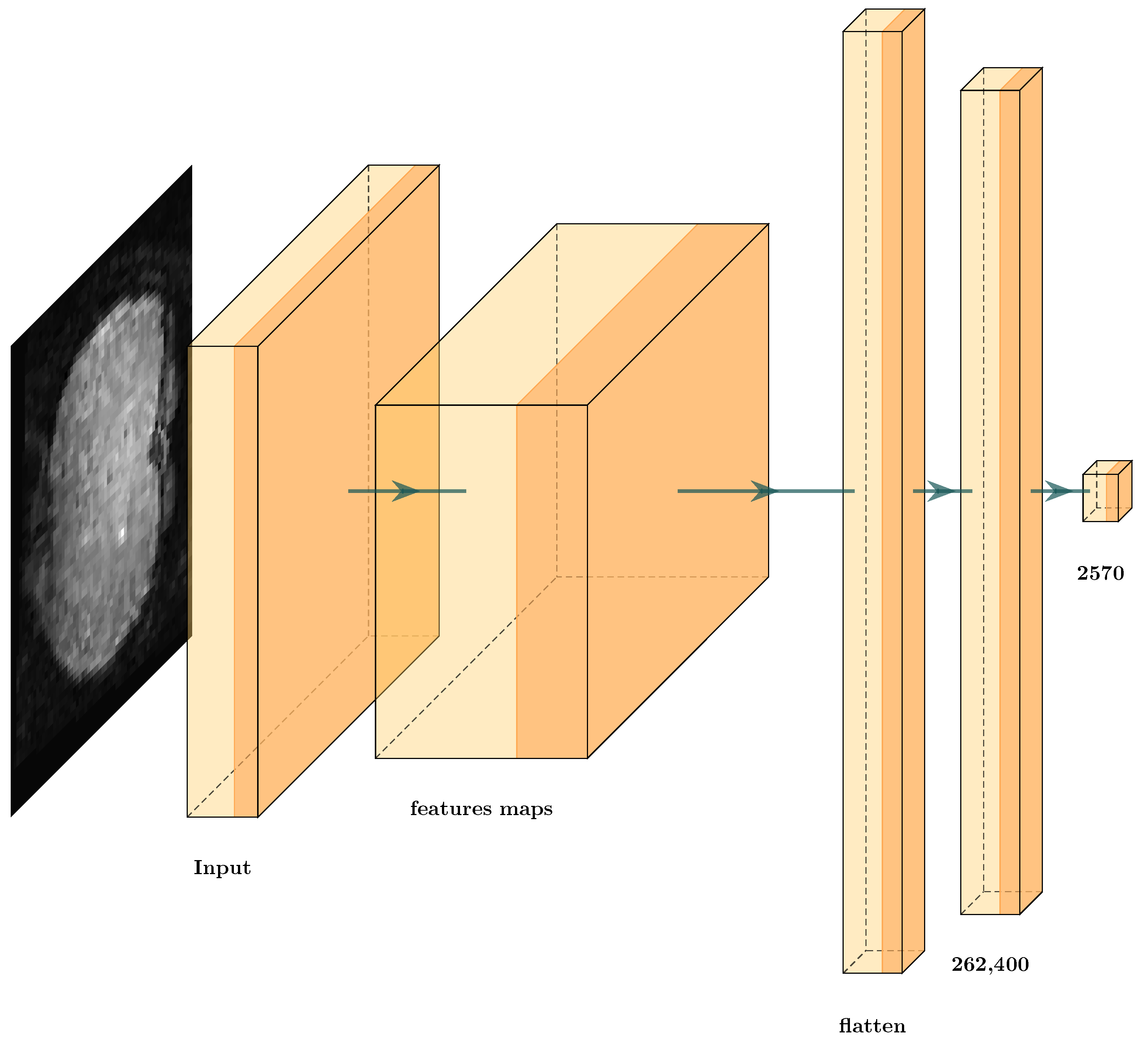 Brainsci 12 00235 g016 550