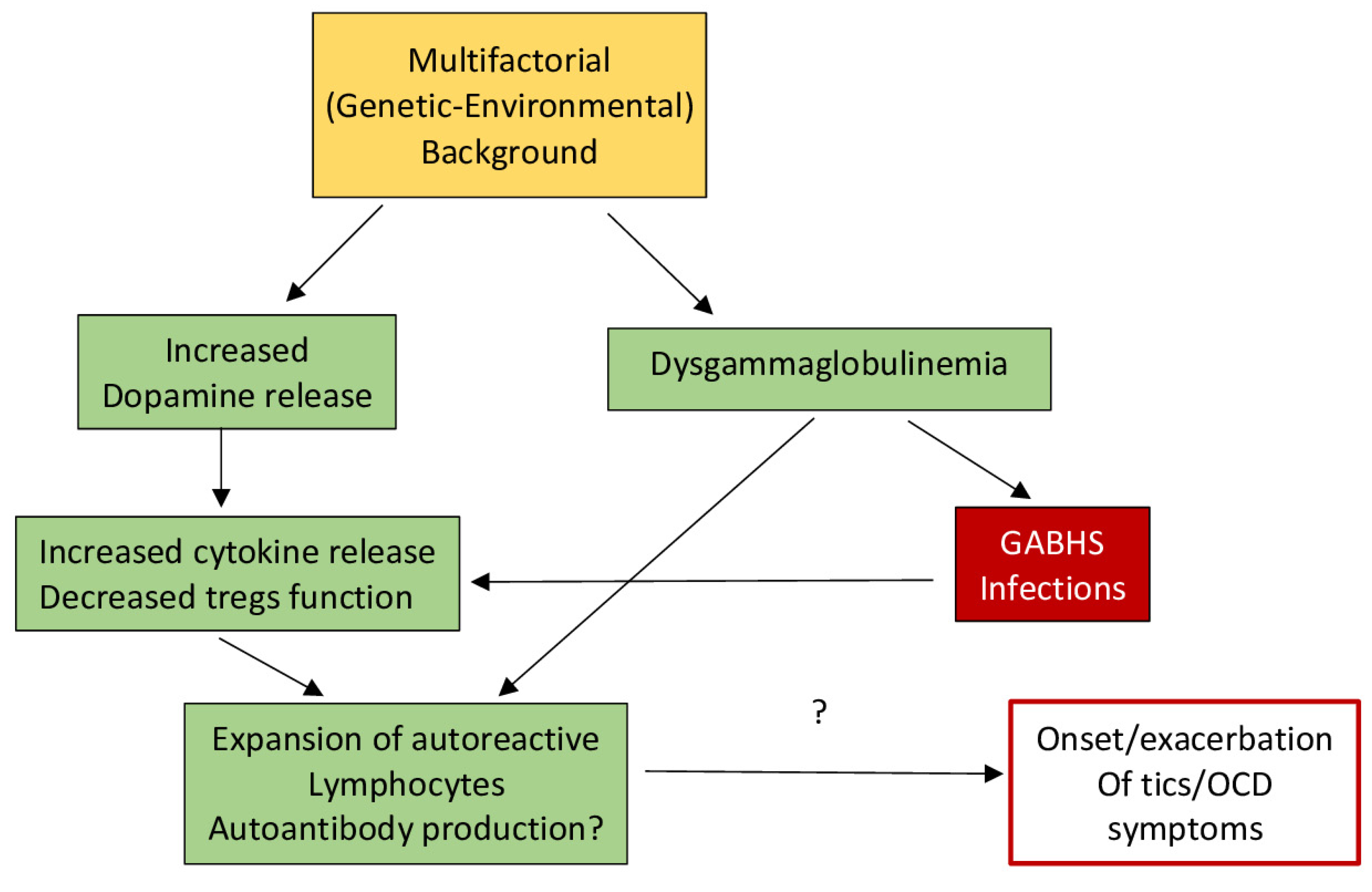 Brainsci 12 00242 g001