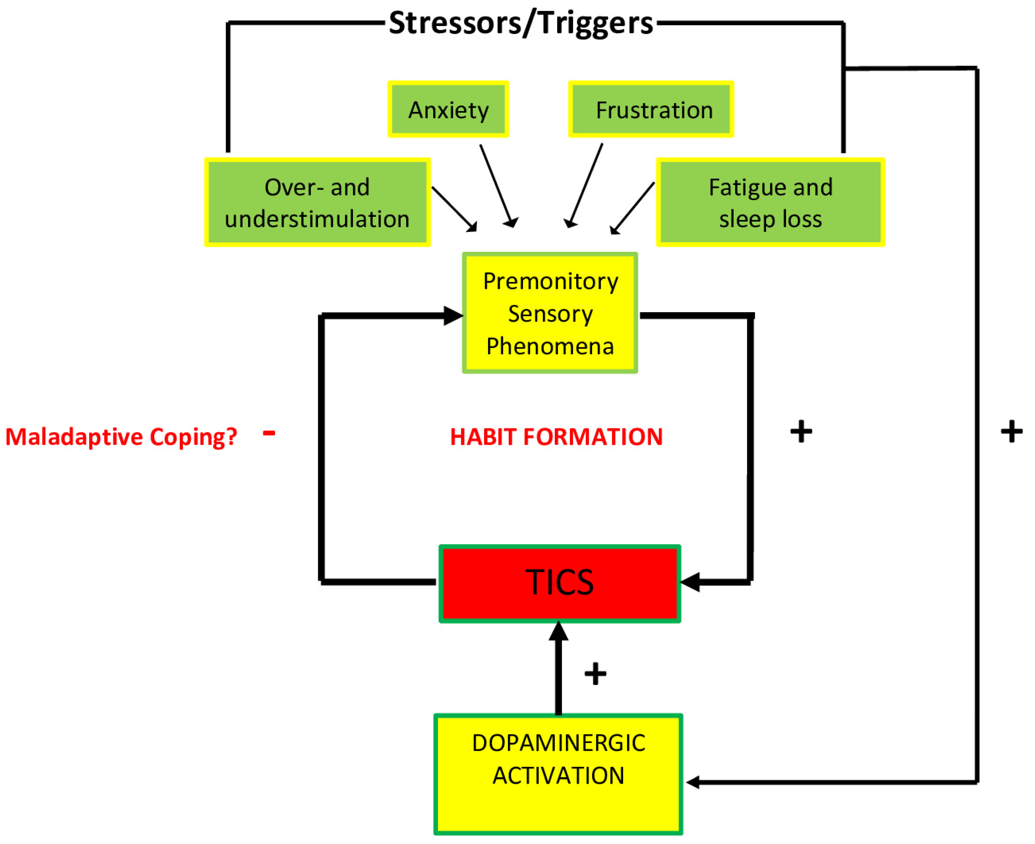 Brainsci 12 00242 g003