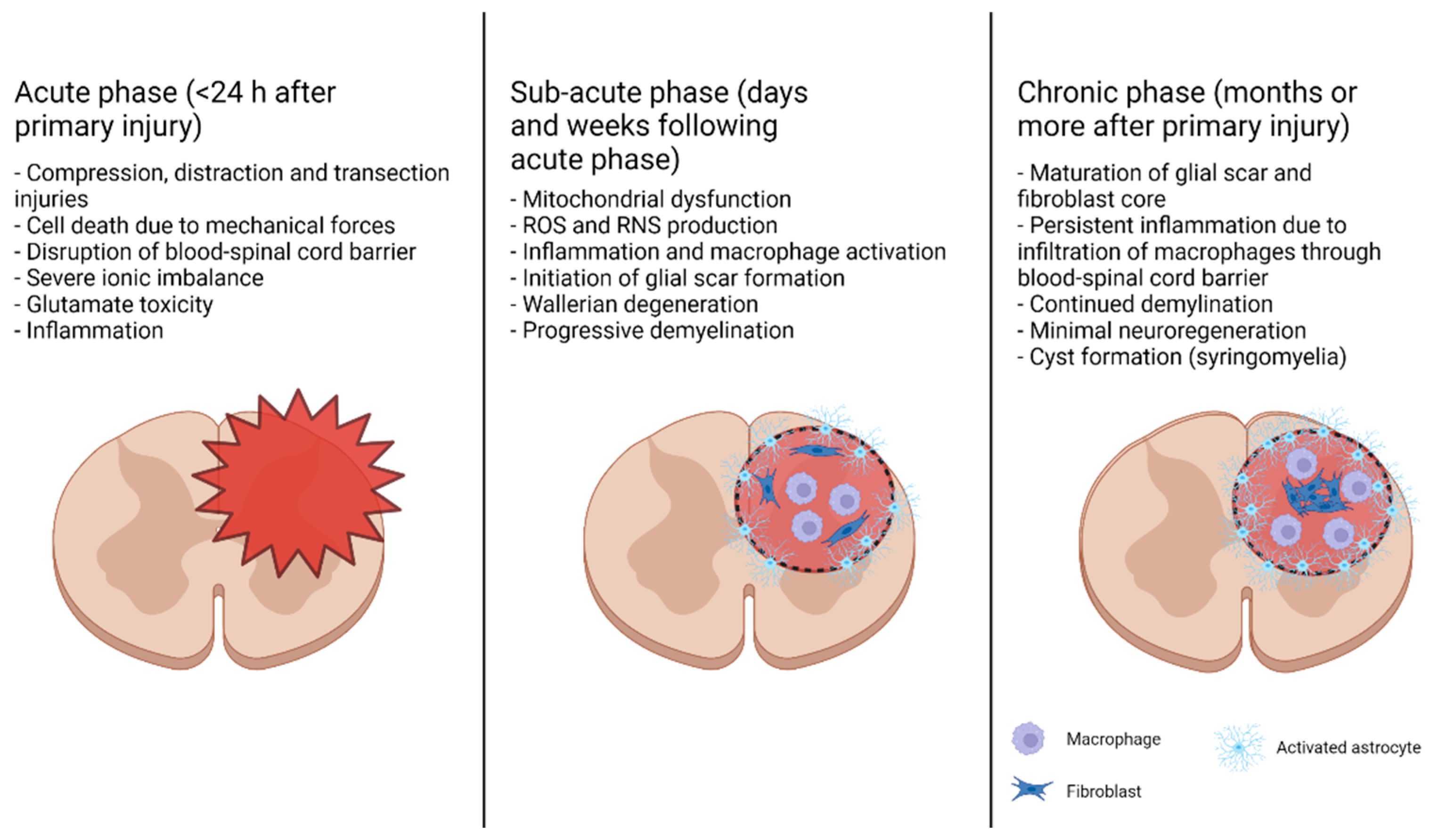 Brainsci 12 00247 g002 Brainsci 12 00247 g002