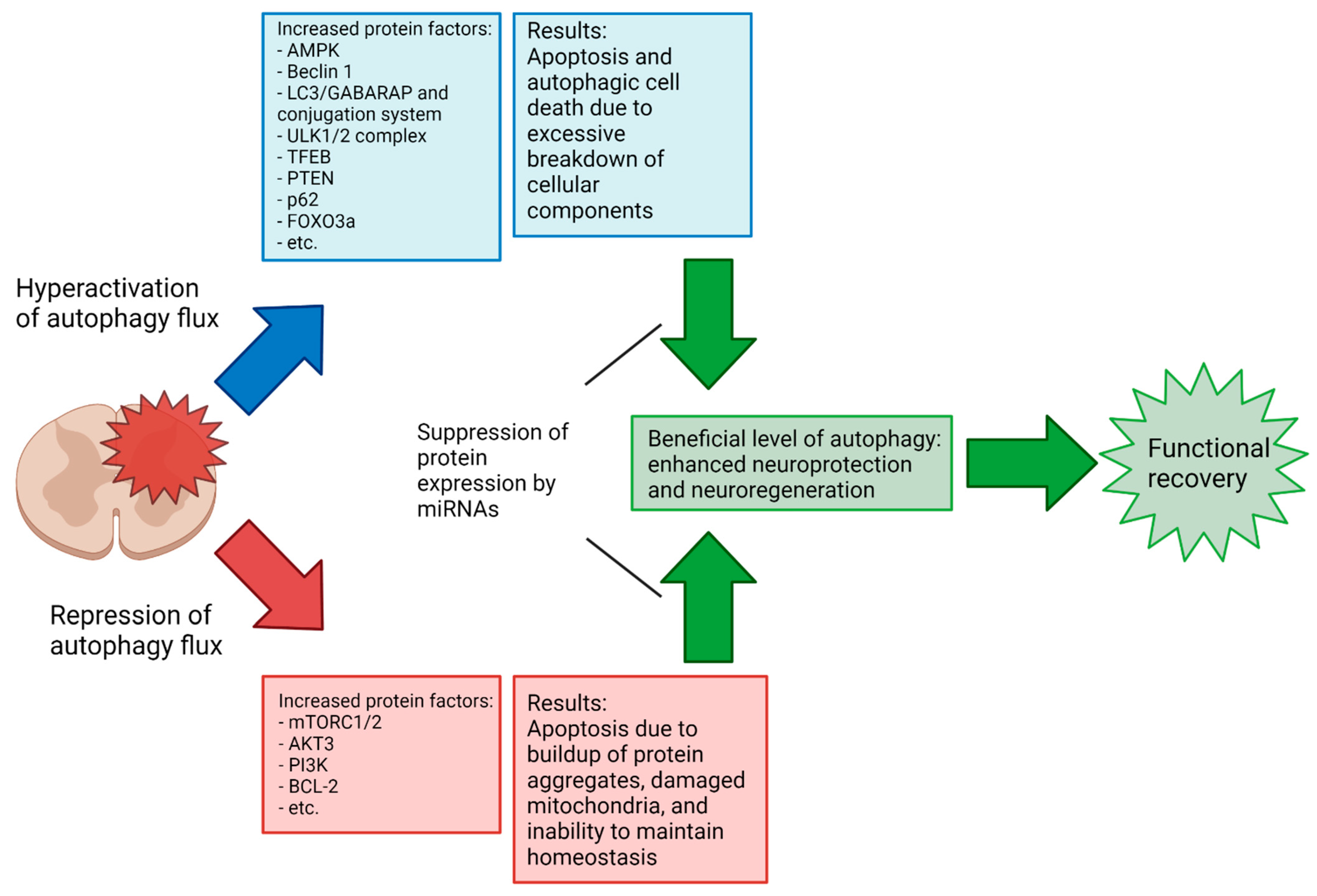Brainsci 12 00247 g006 Brainsci 12 00247 g006