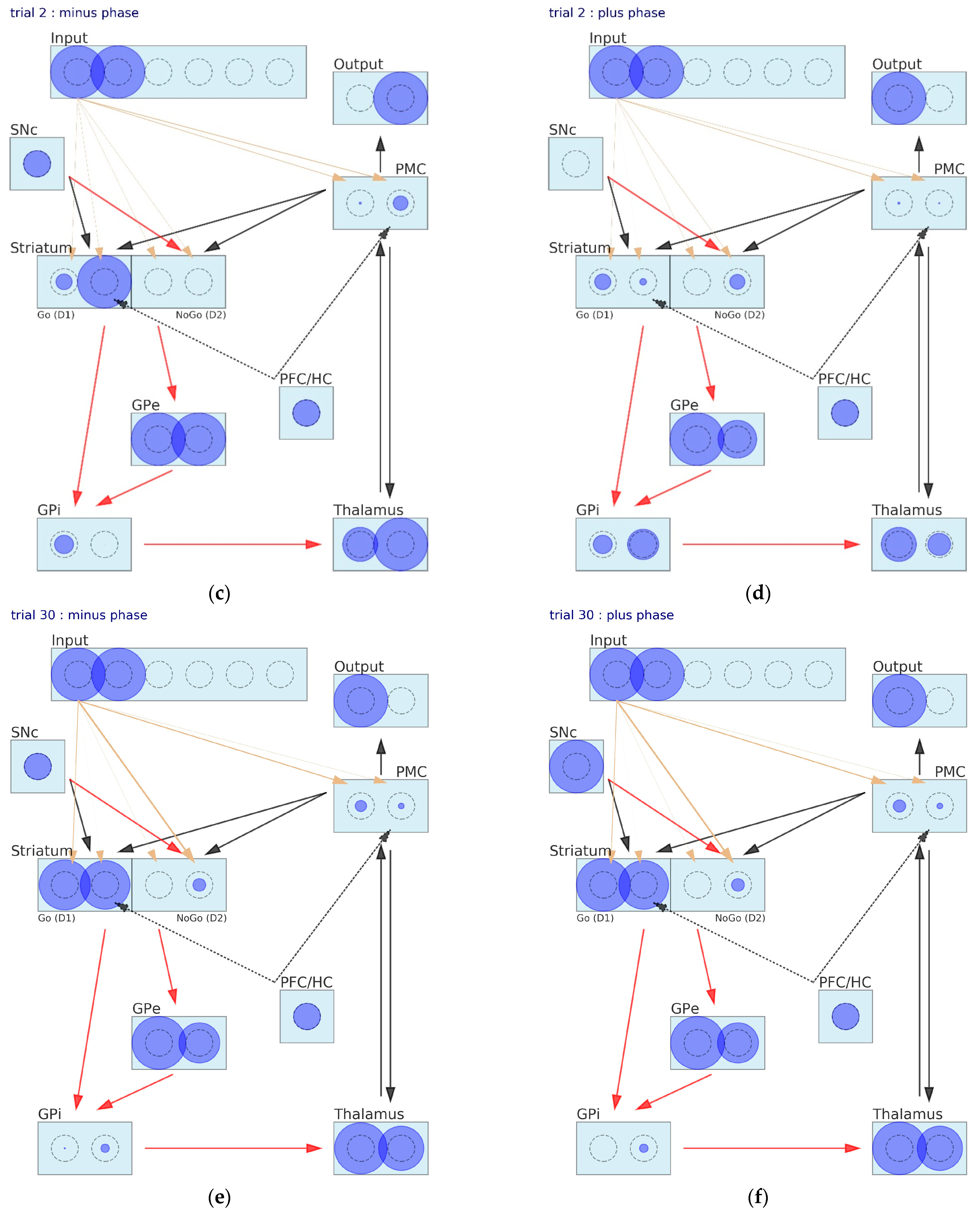 Brainsci 12 00262 g006b