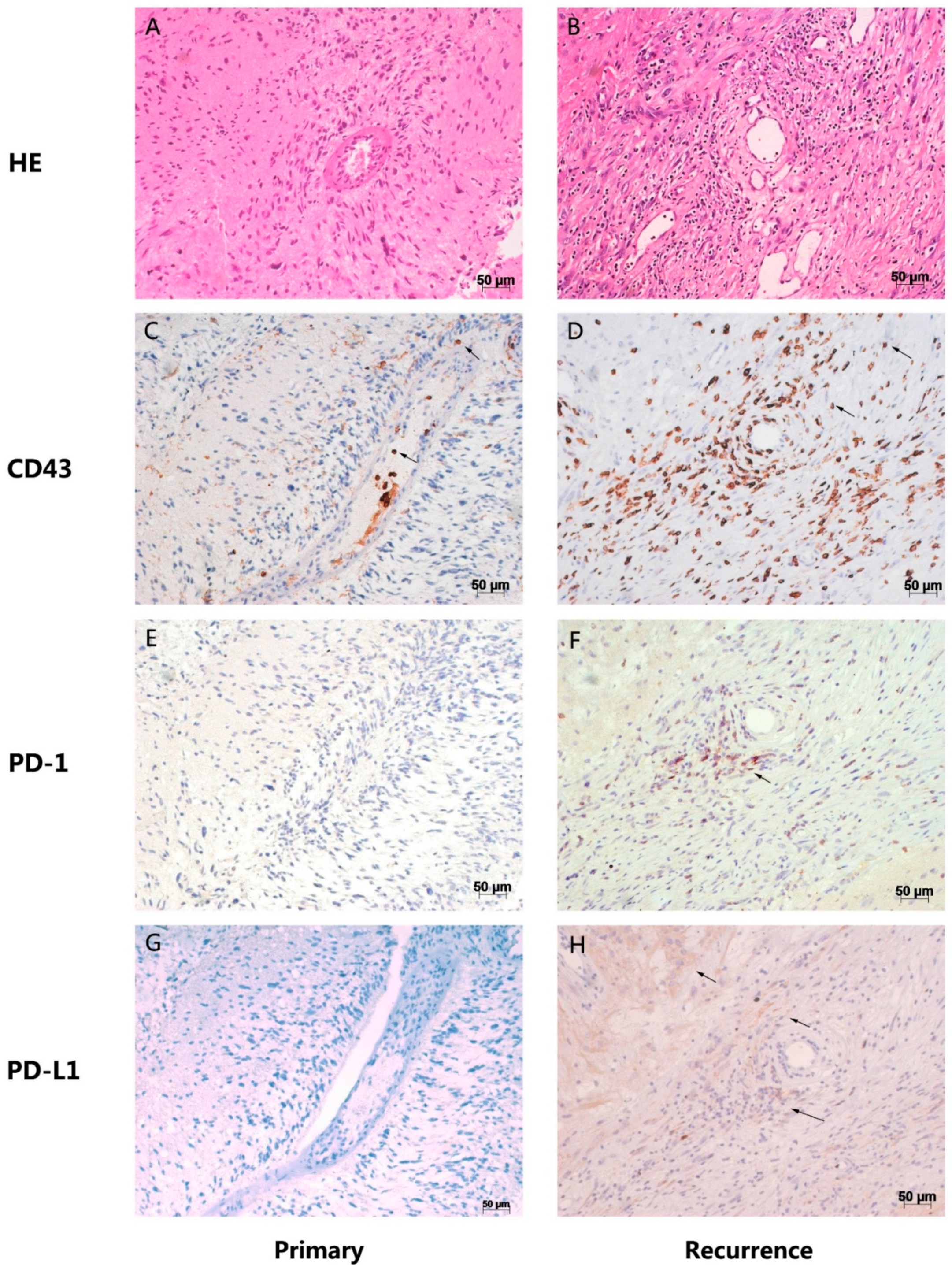 Brainsci 12 00266 g006