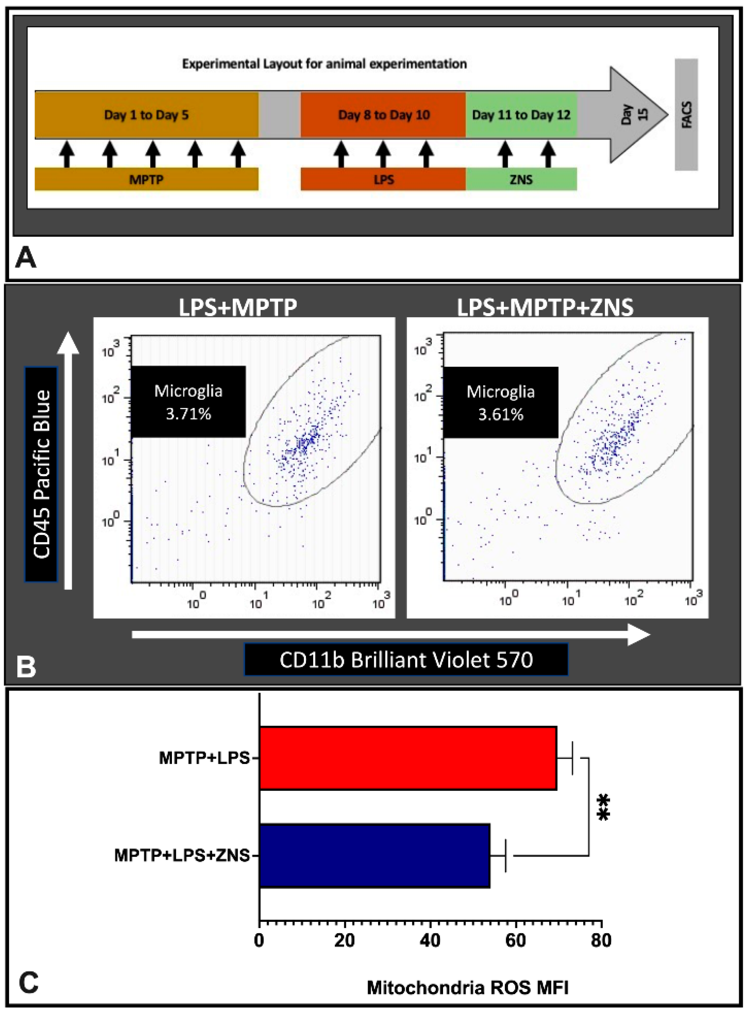 Brainsci 12 00268 g001 550
