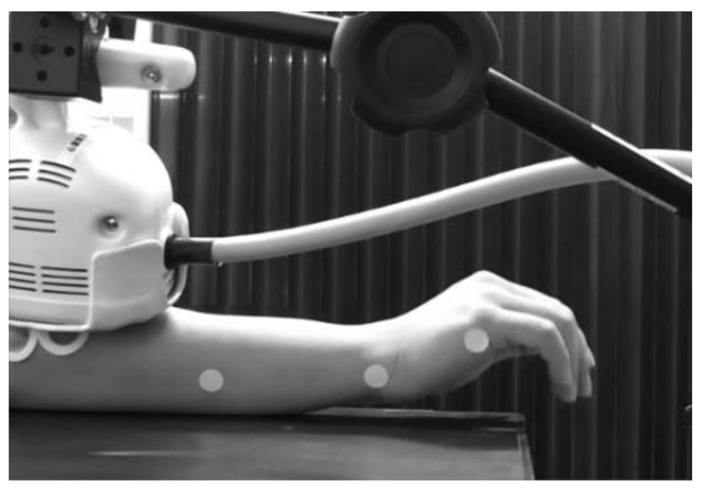 Brainsci 12 00280 g001 550