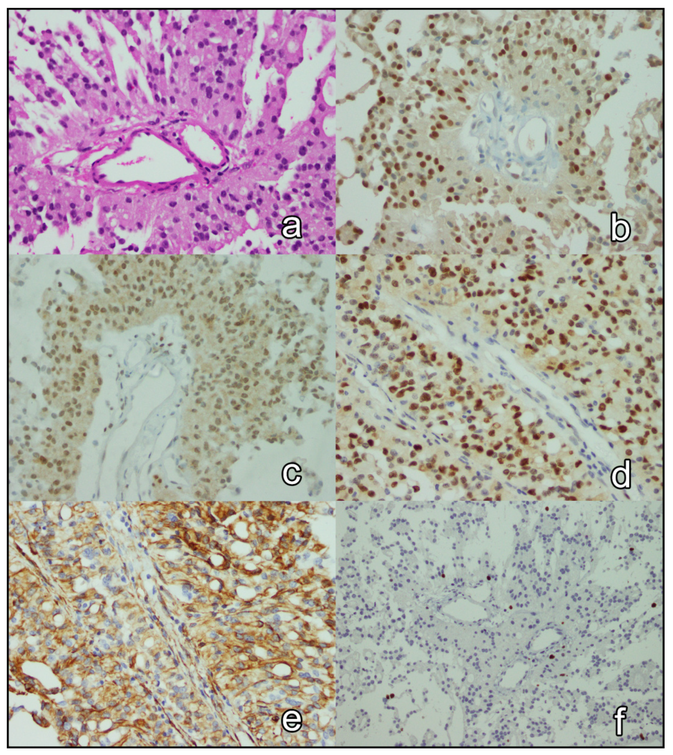 Brainsci 12 00282 g001 550