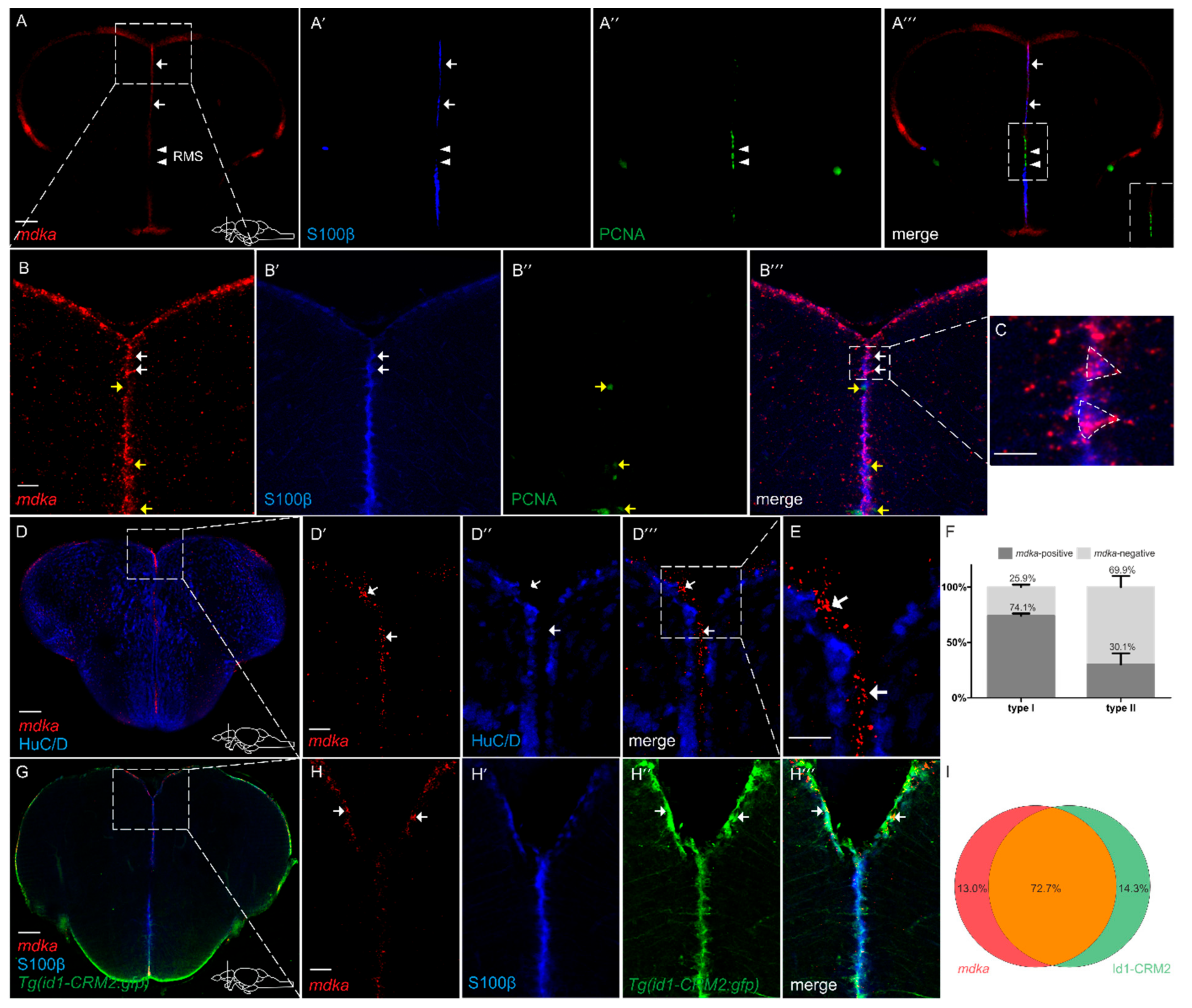 Brainsci 12 00284 g002