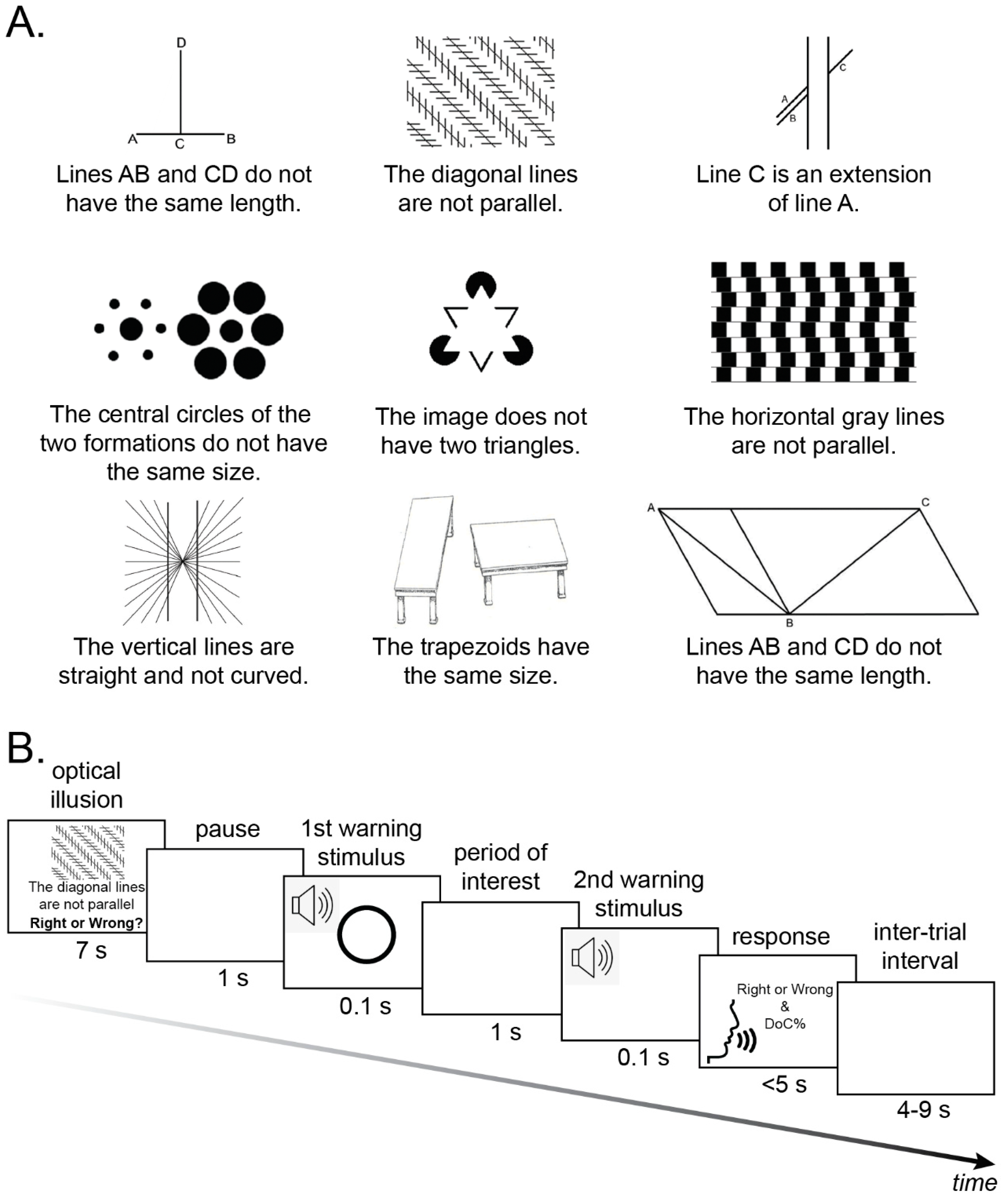 Brainsci 12 00293 g001
