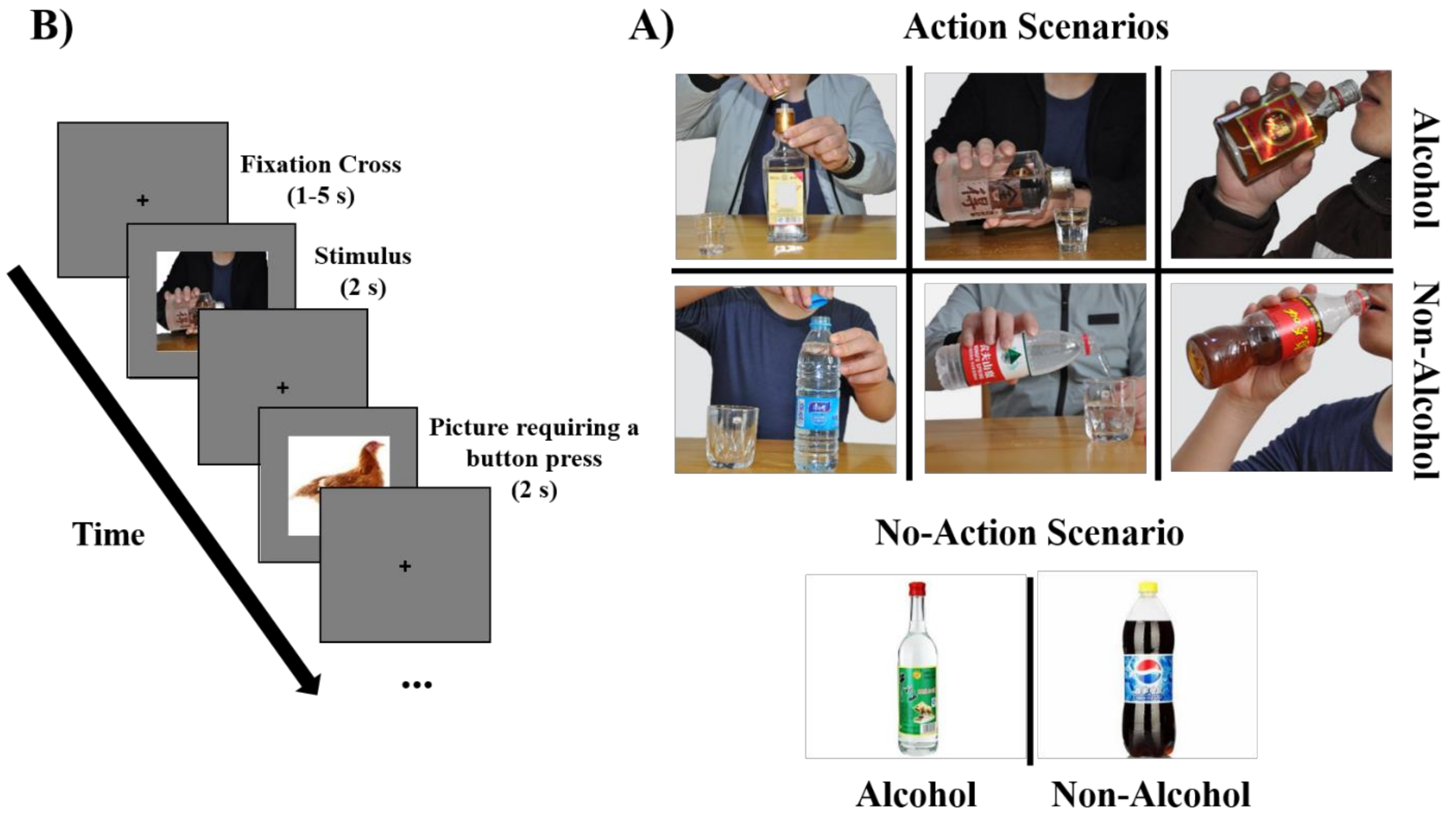 Brainsci 12 00307 g001 Brainsci 12 00307 g001