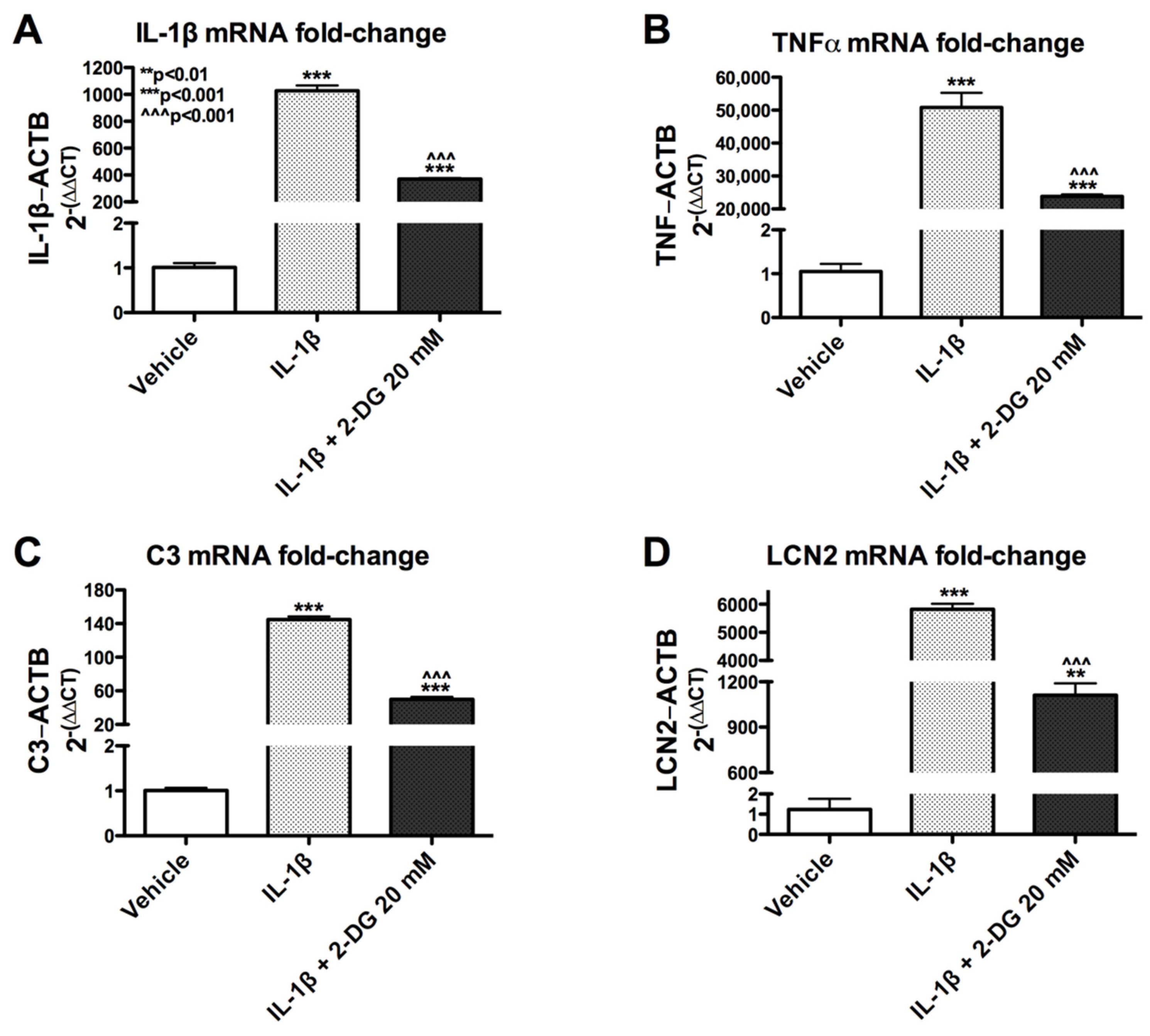 Brainsci 12 00308 g002