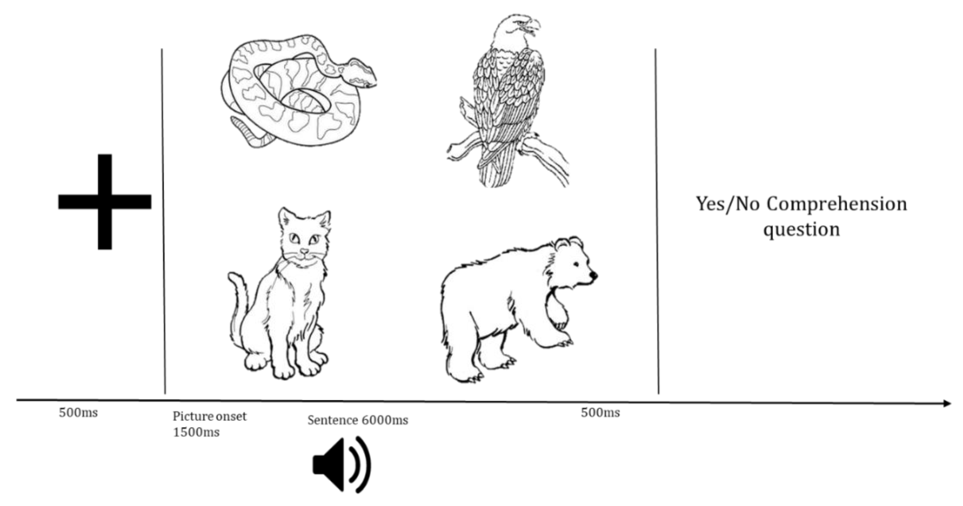 Brainsci 12 00312 g002 Brainsci 12 00312 g002