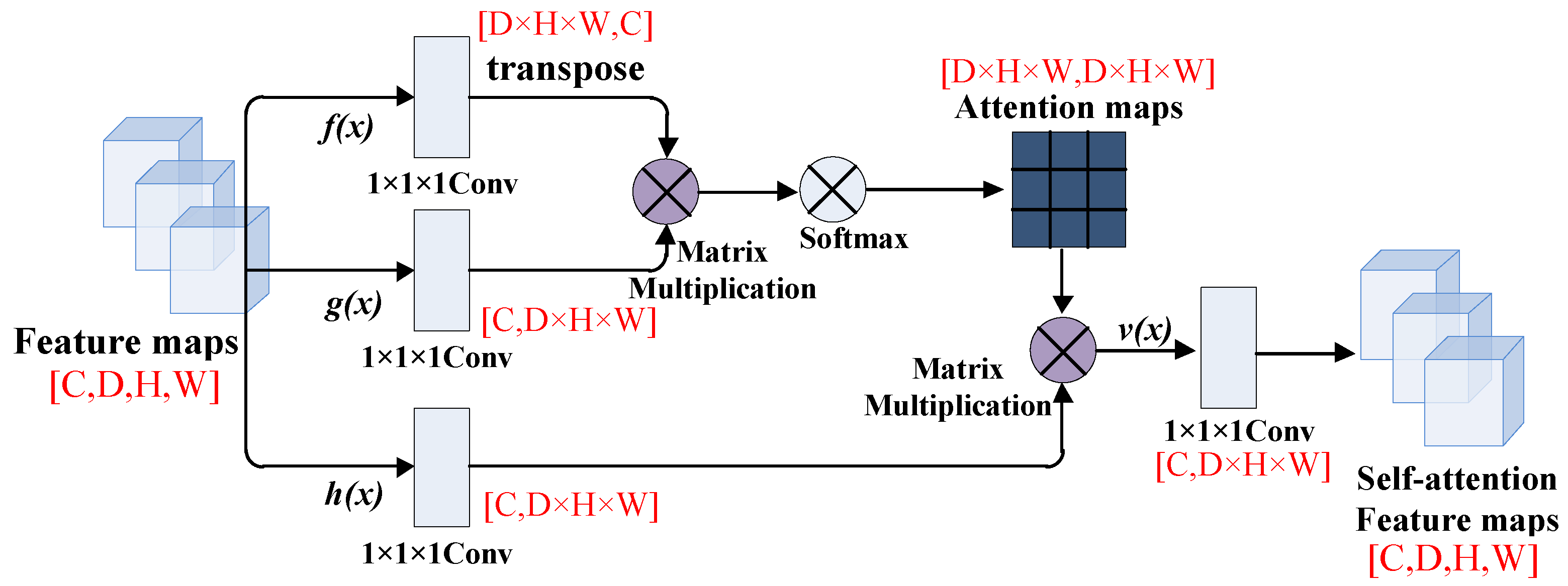 Brainsci 12 00319 g003 550