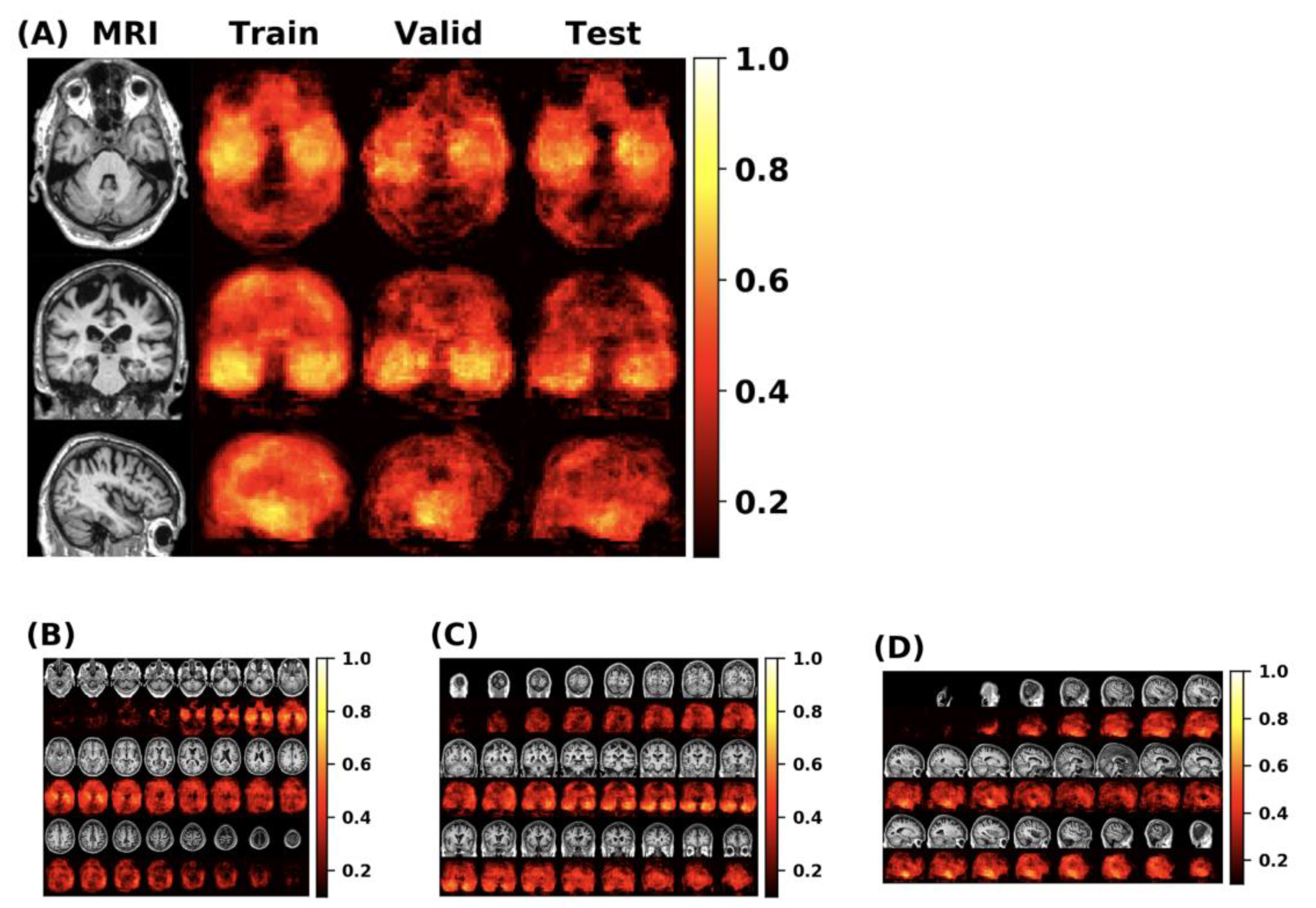 Brainsci 12 00319 g010 550