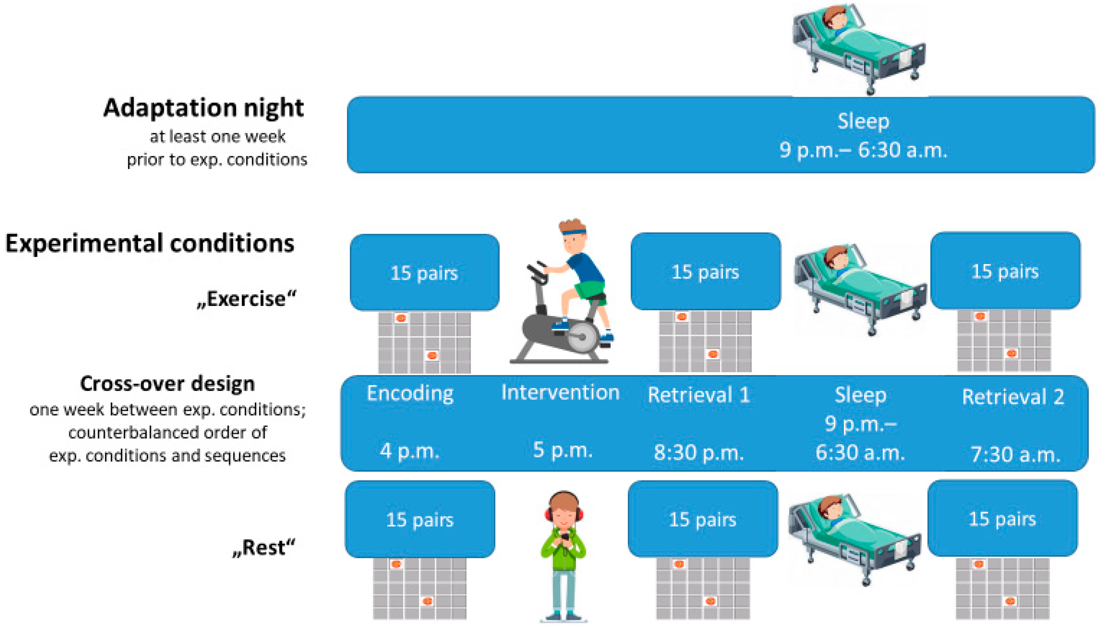 Brainsci 12 00322 g001