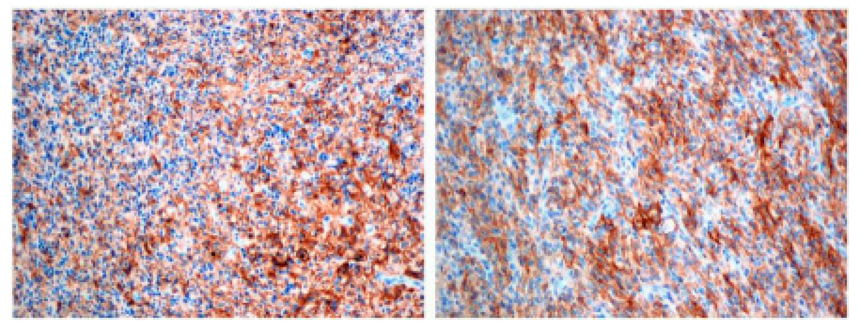 Brainsci 12 00324 g001 550