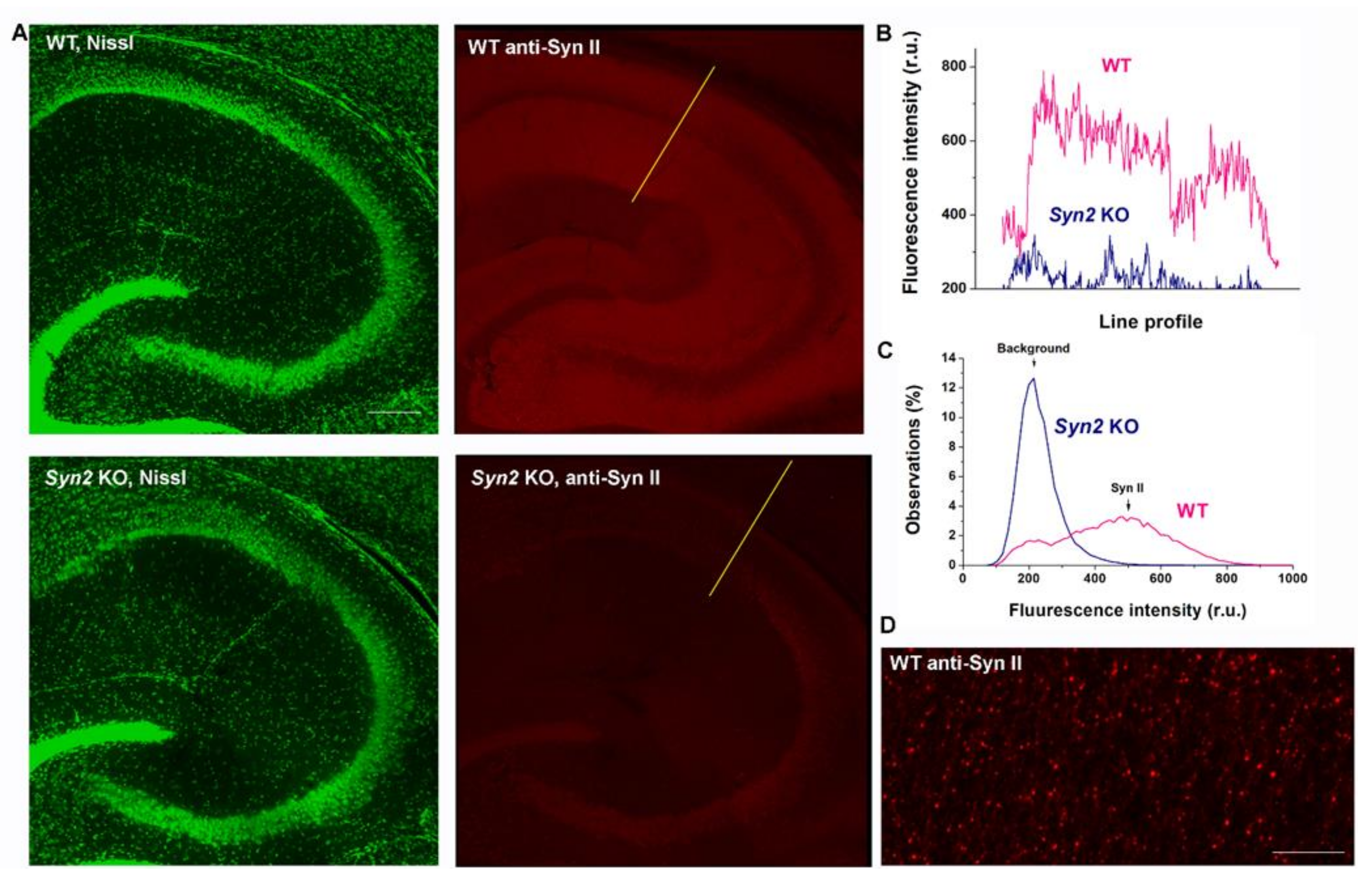 Brainsci 12 00325 g001 Brainsci 12 00325 g001