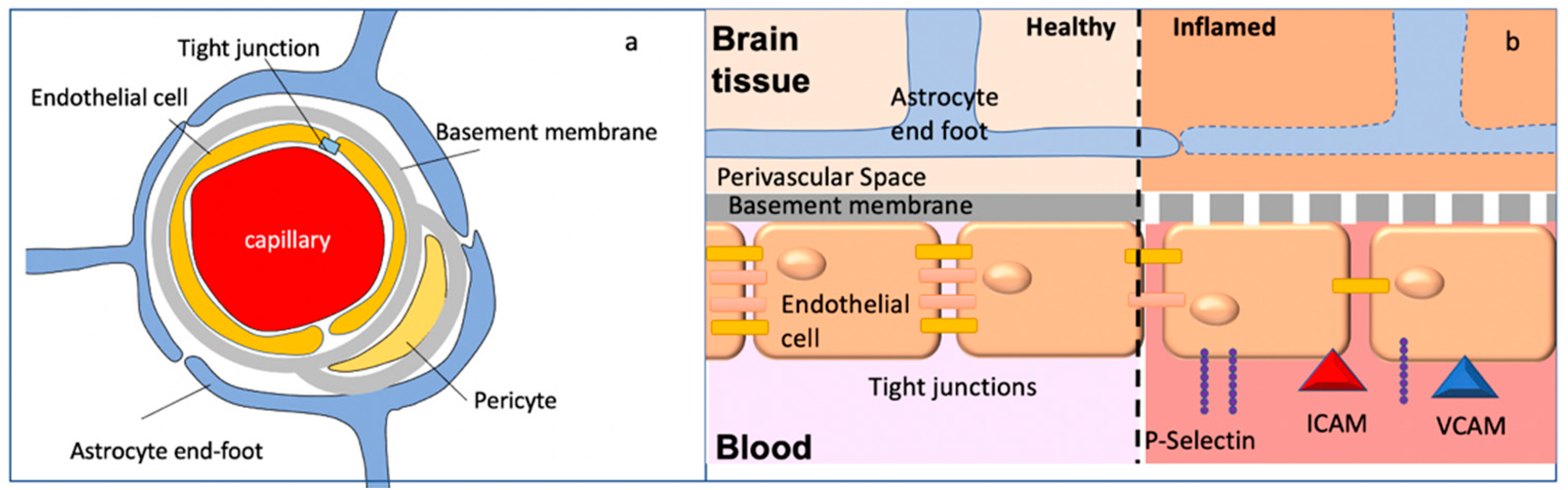 Brainsci 12 00328 g002 Brainsci 12 00328 g002