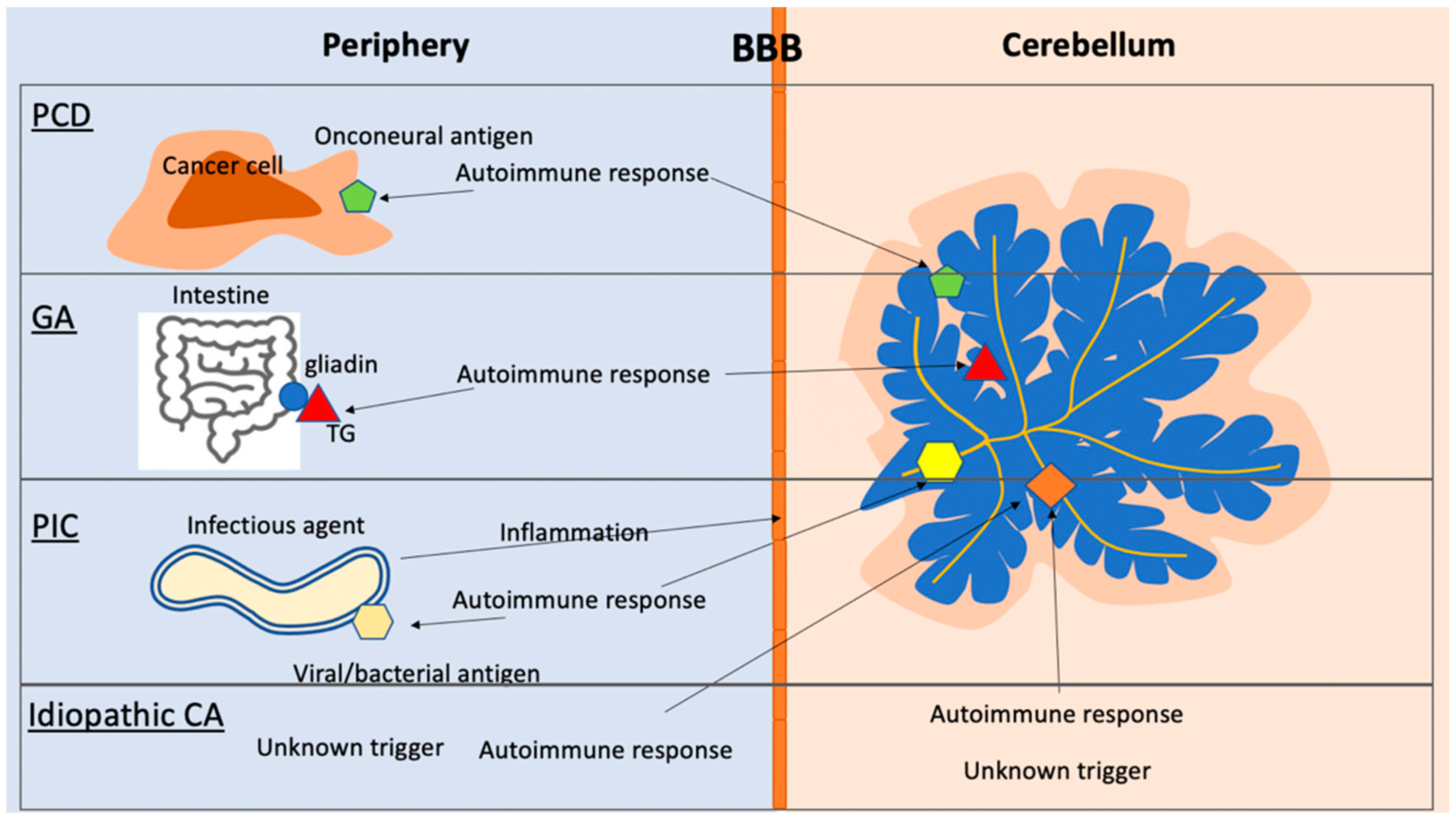 Brainsci 12 00328 g003 Brainsci 12 00328 g003