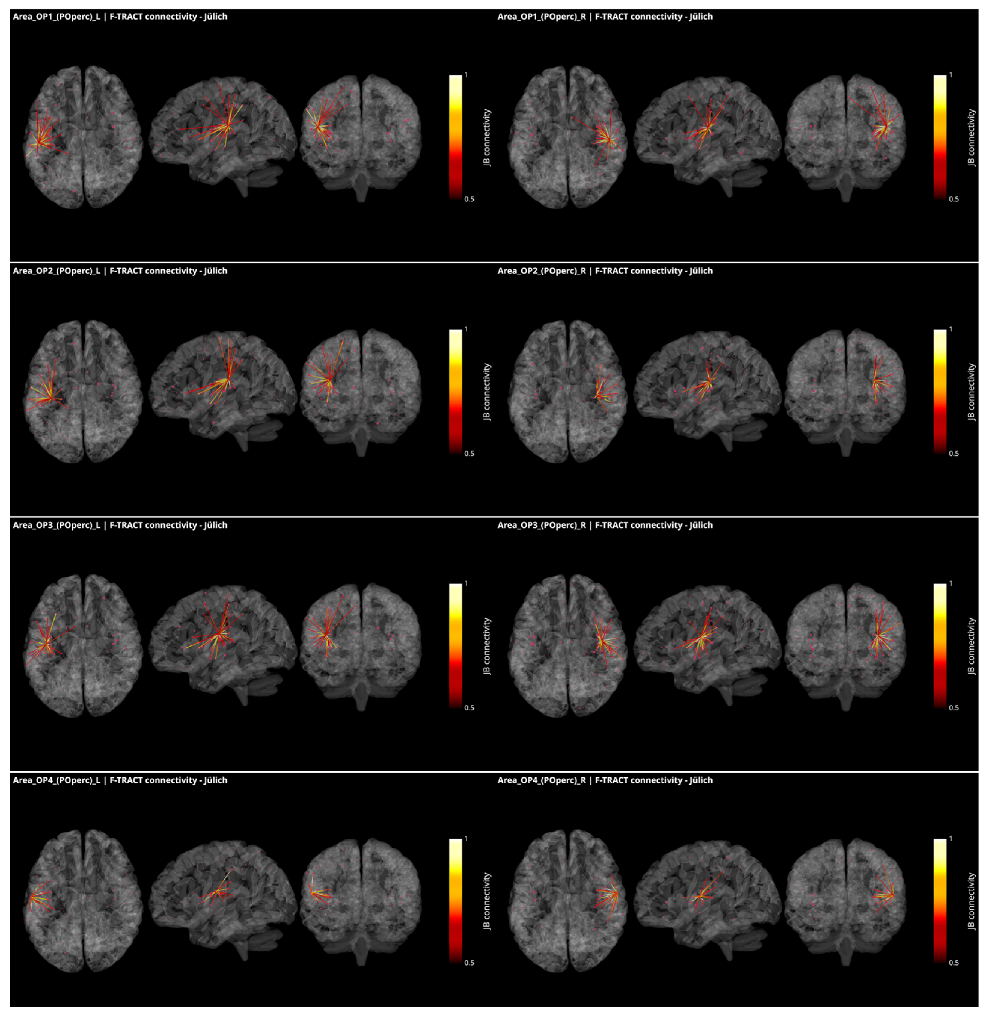 Brainsci 12 00334 g003