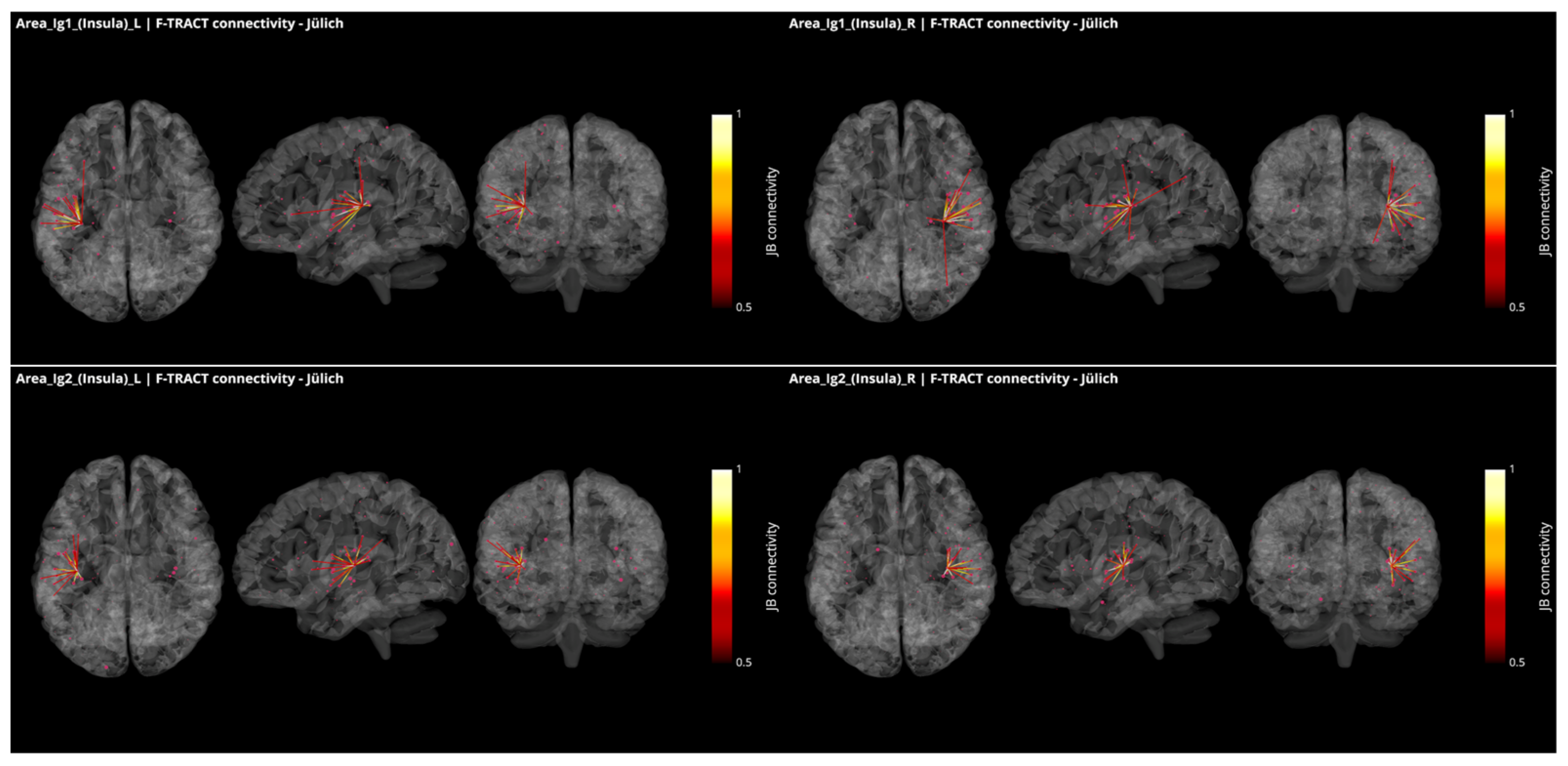Brainsci 12 00334 g004