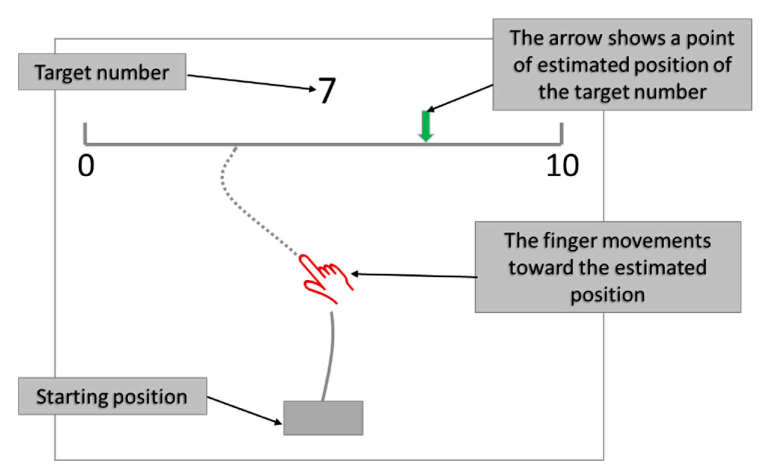 Brainsci 12 00335 g004 Brainsci 12 00335 g004
