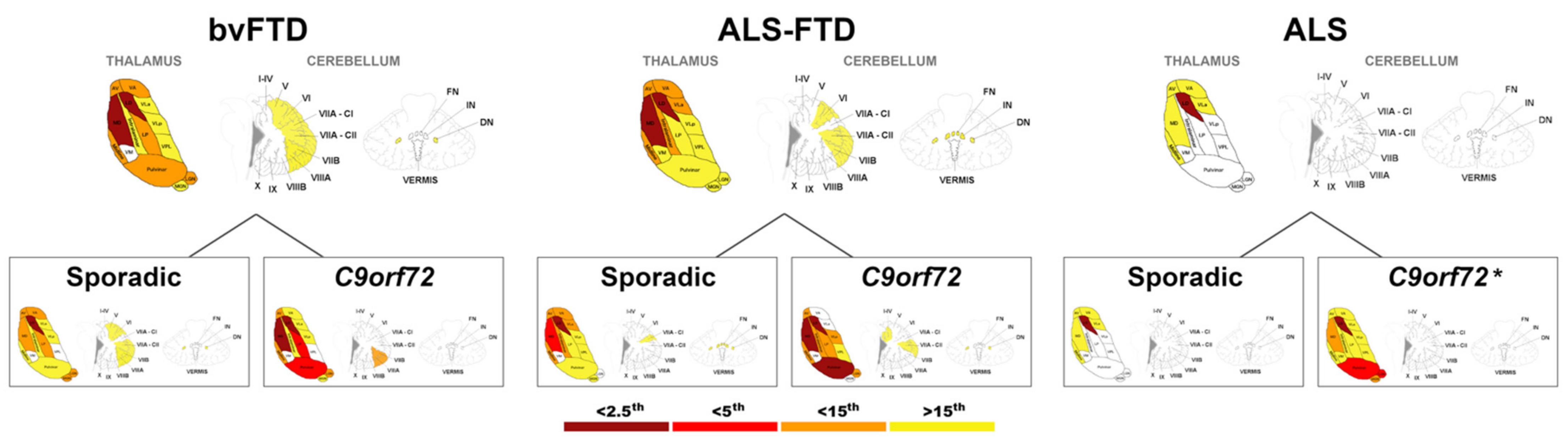 Brainsci 12 00336 g002