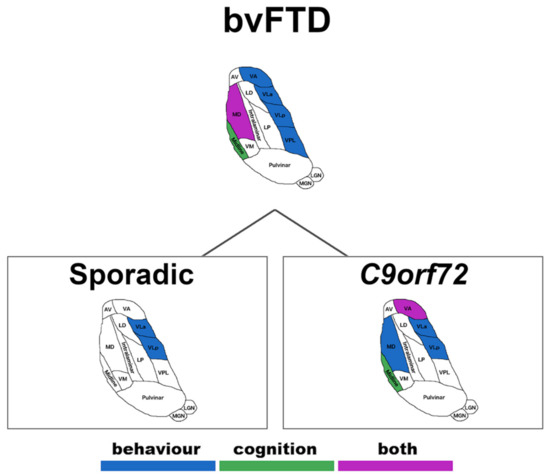 Thalamic and Cerebellar Regional Involvement across the ALS–FTD