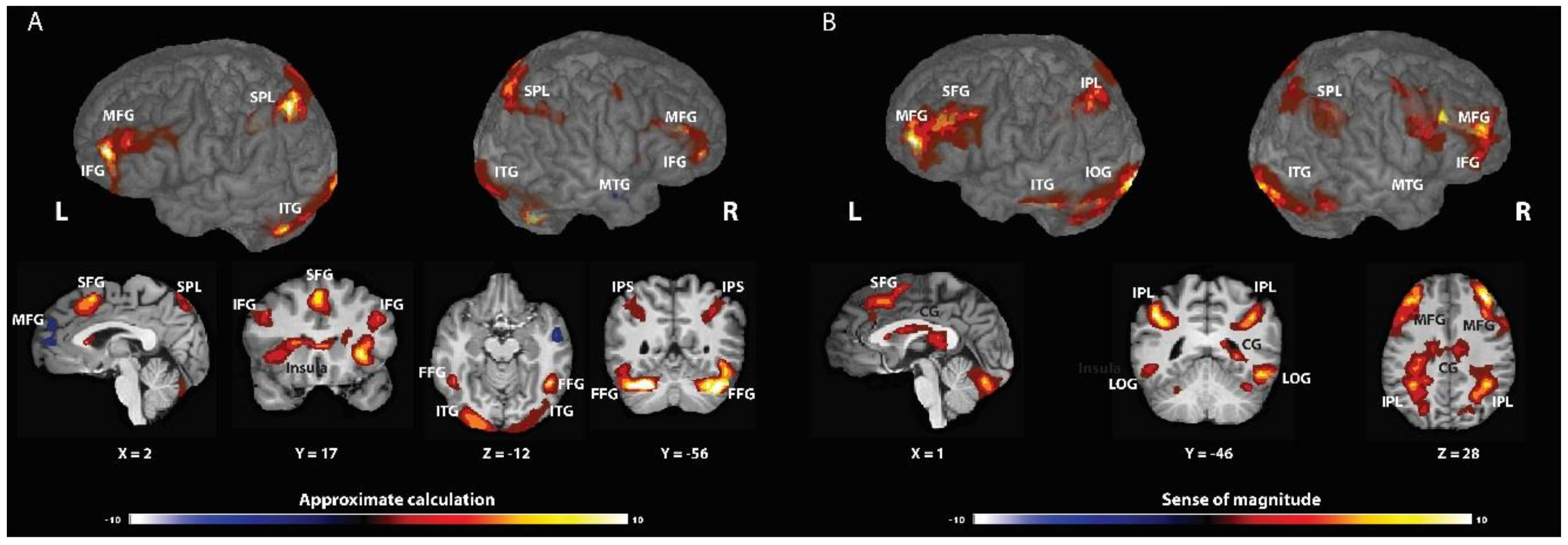 Brainsci 12 00357 g001