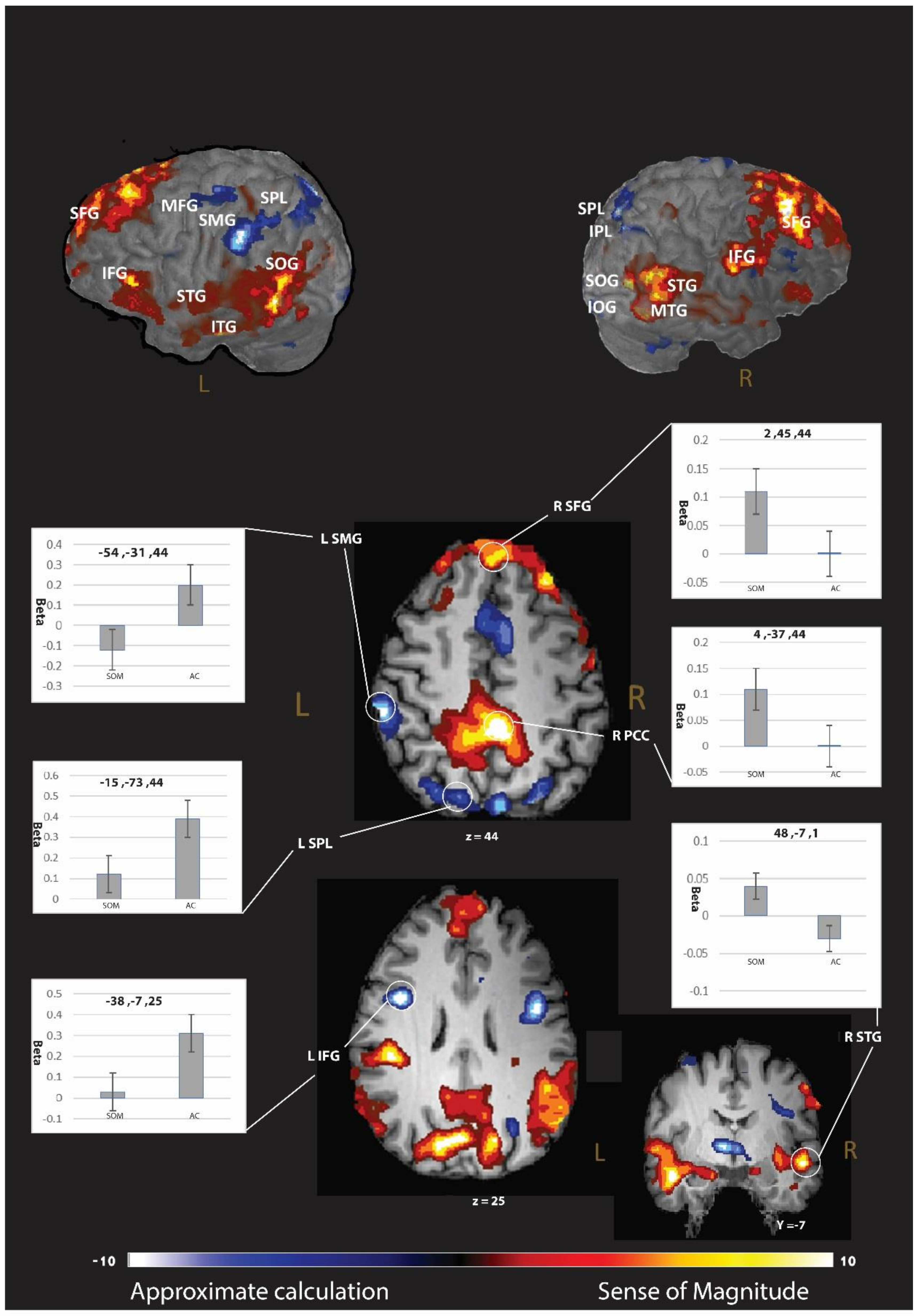 Brainsci 12 00357 g002