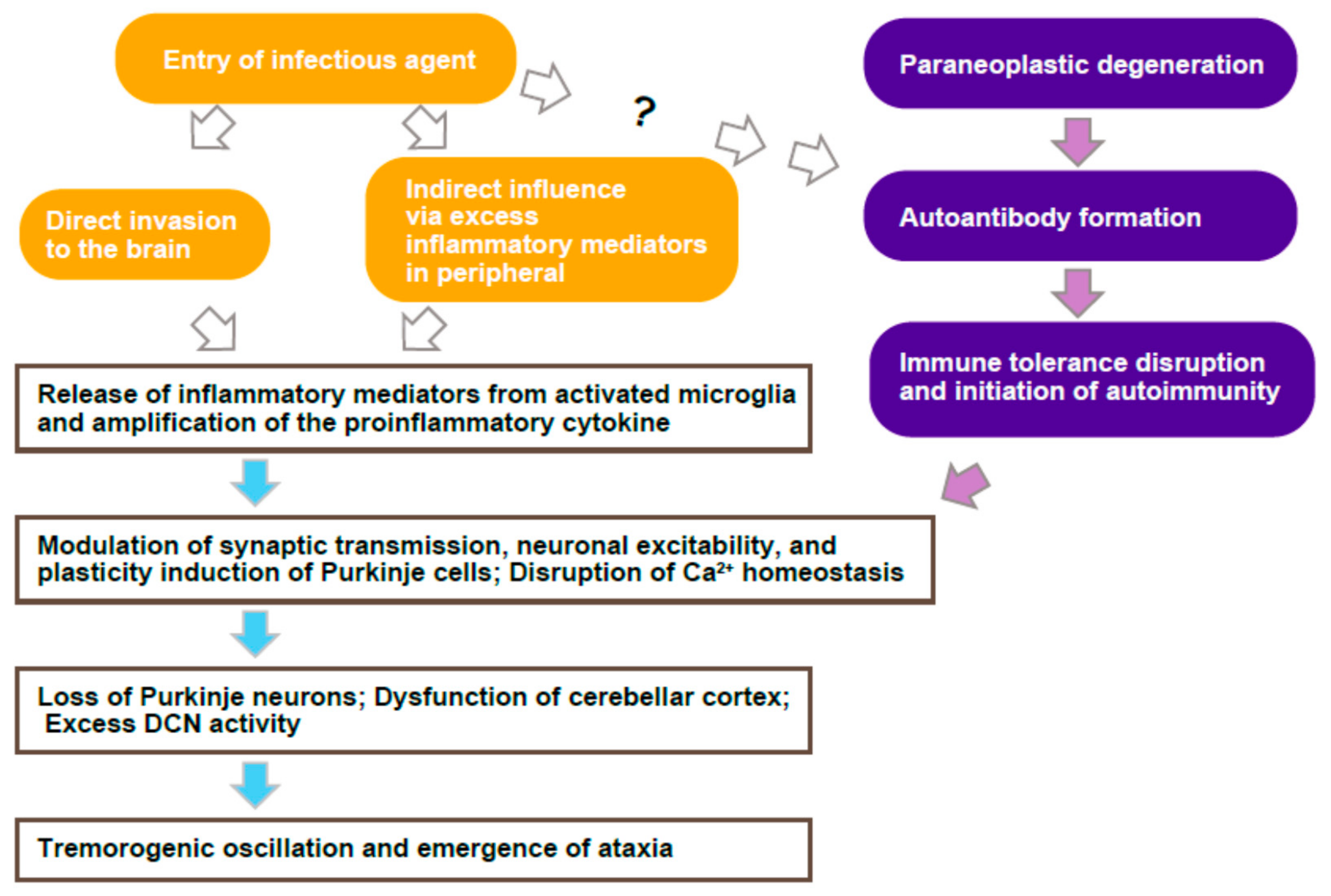 Brainsci 12 00367 g002 Brainsci 12 00367 g002