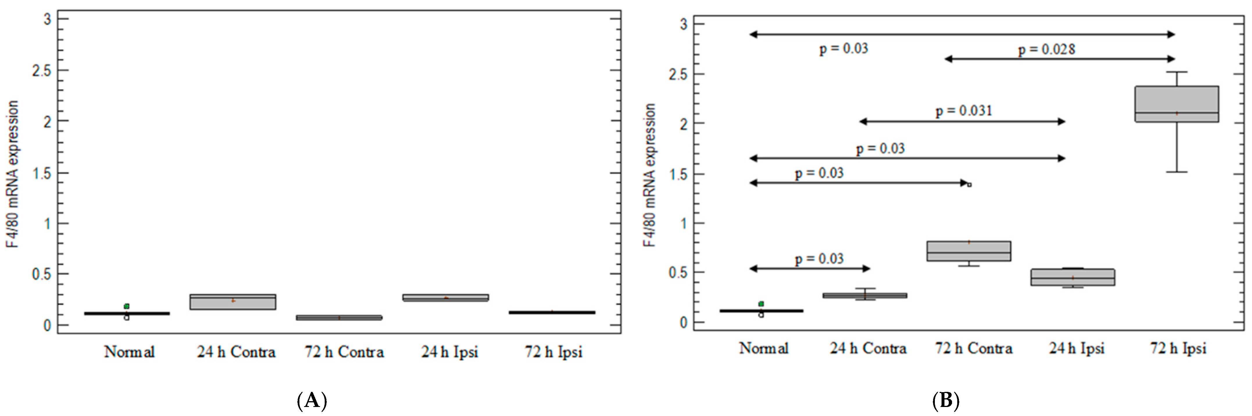 Brainsci 12 00380 g002
