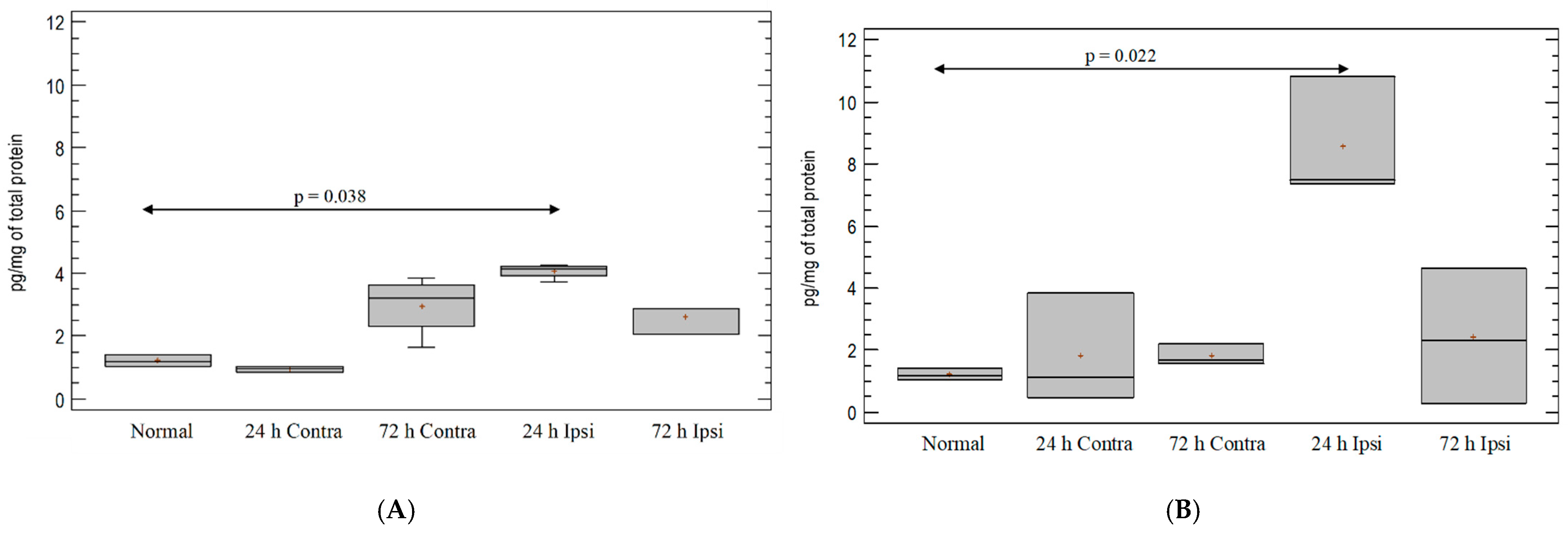 Brainsci 12 00380 g003