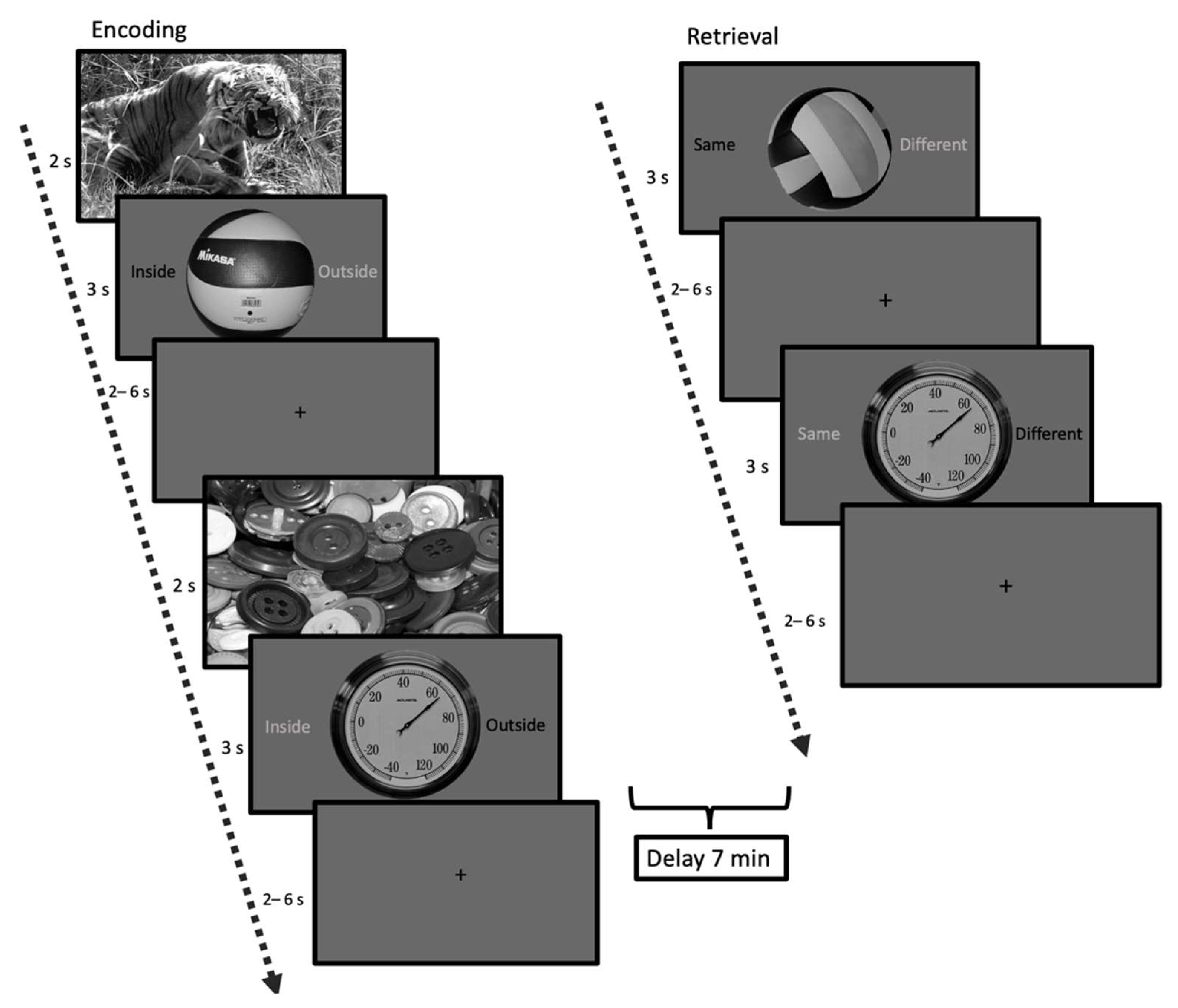 Brainsci 12 00381 g001 Brainsci 12 00381 g001