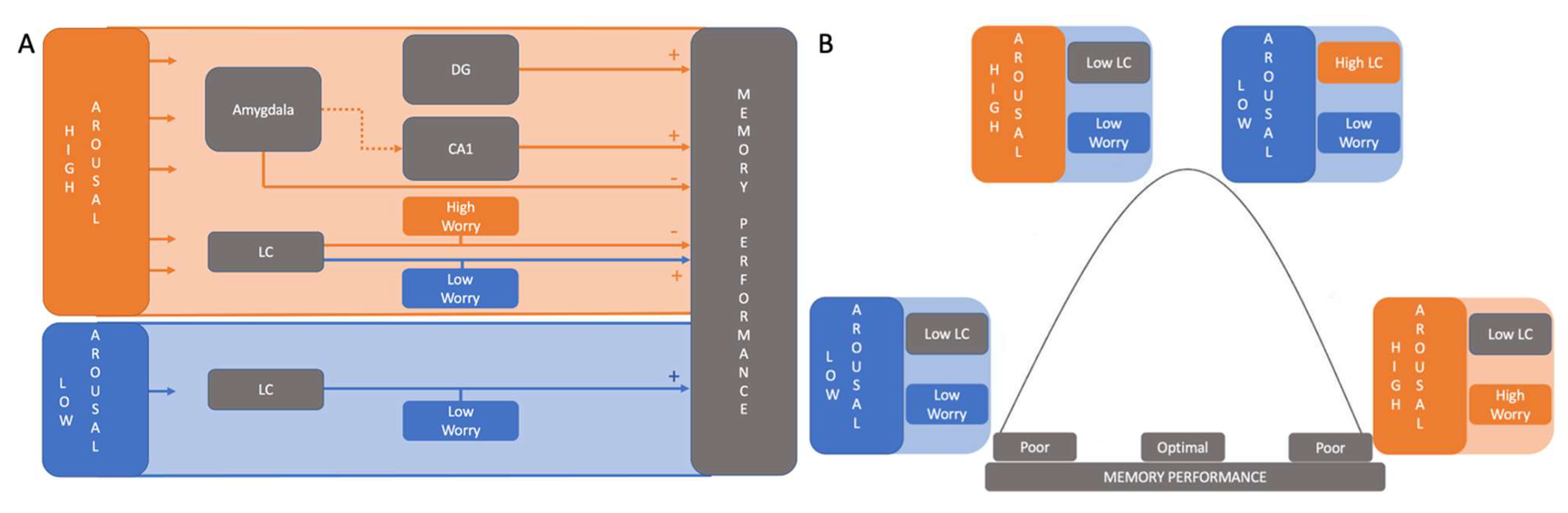 Brainsci 12 00381 g005 Brainsci 12 00381 g005