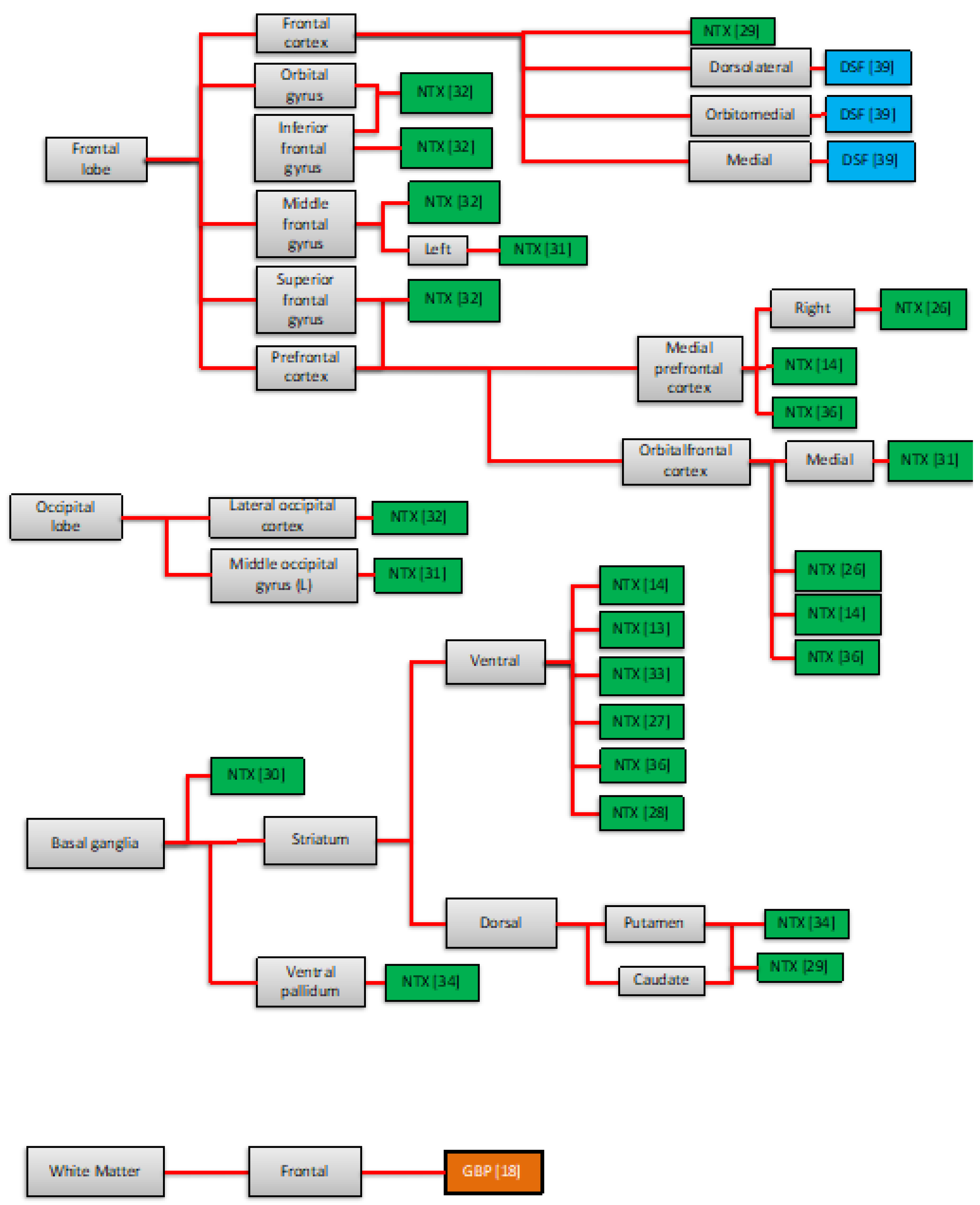 Brainsci 12 00386 g002b 550