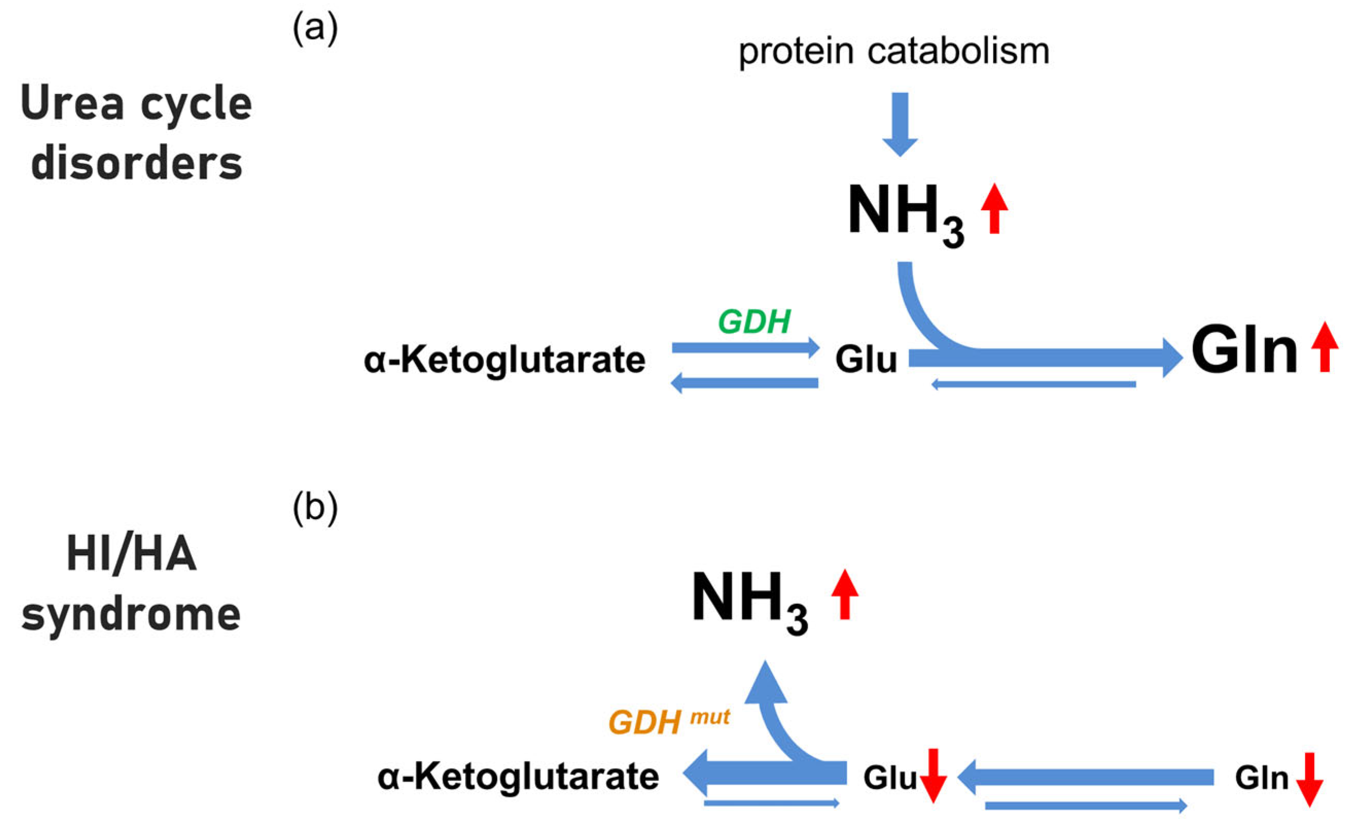 Brainsci 12 00389 g003