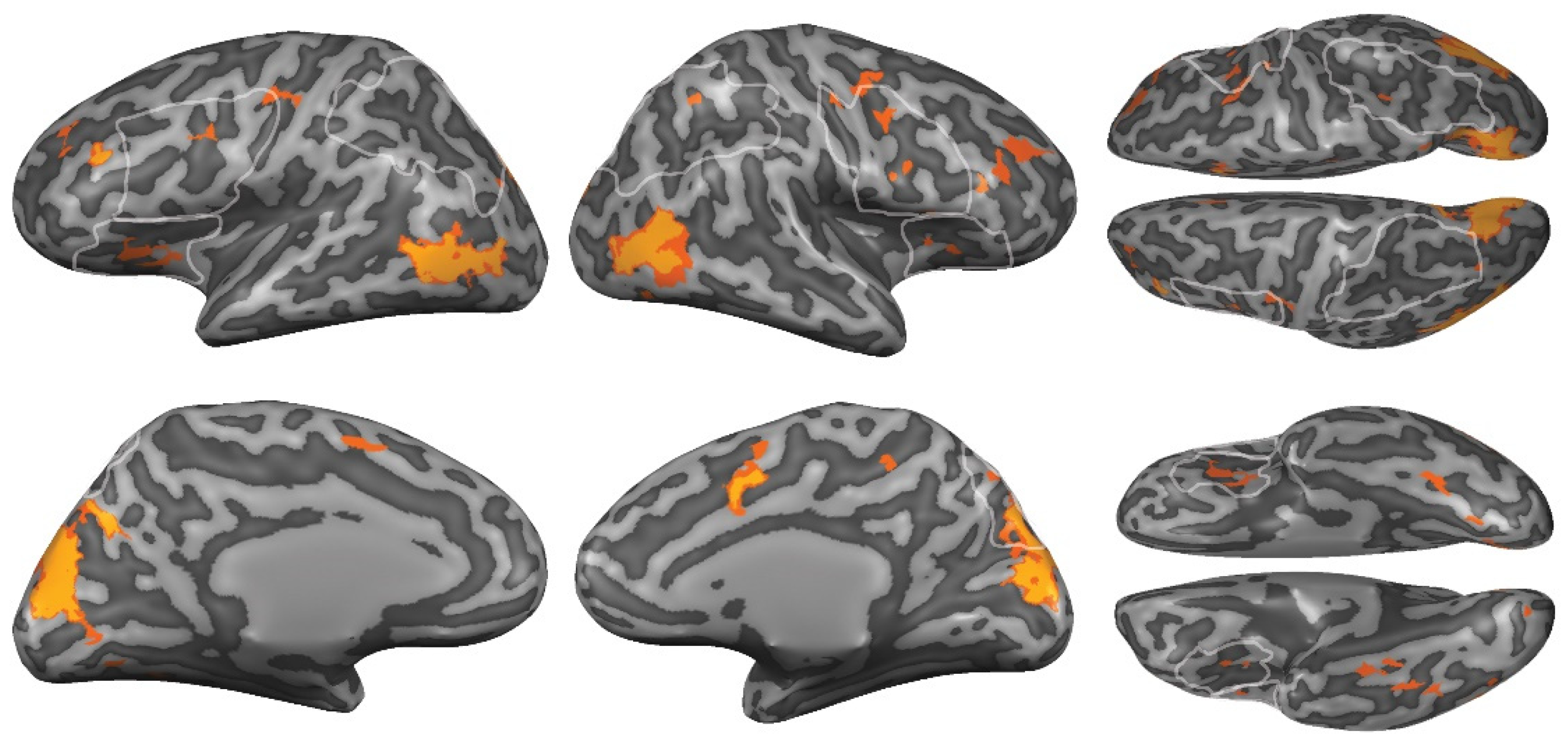 Brainsci 12 00391 g005
