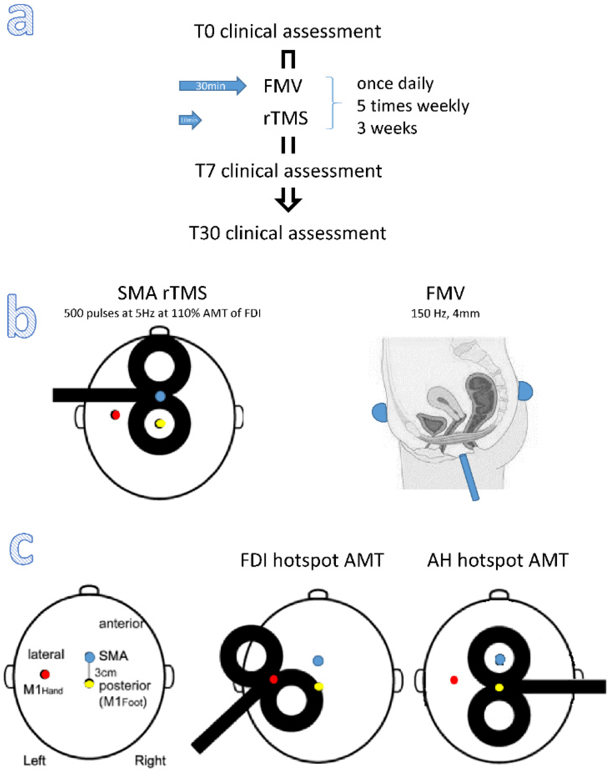 Brainsci 12 00396 g001 550