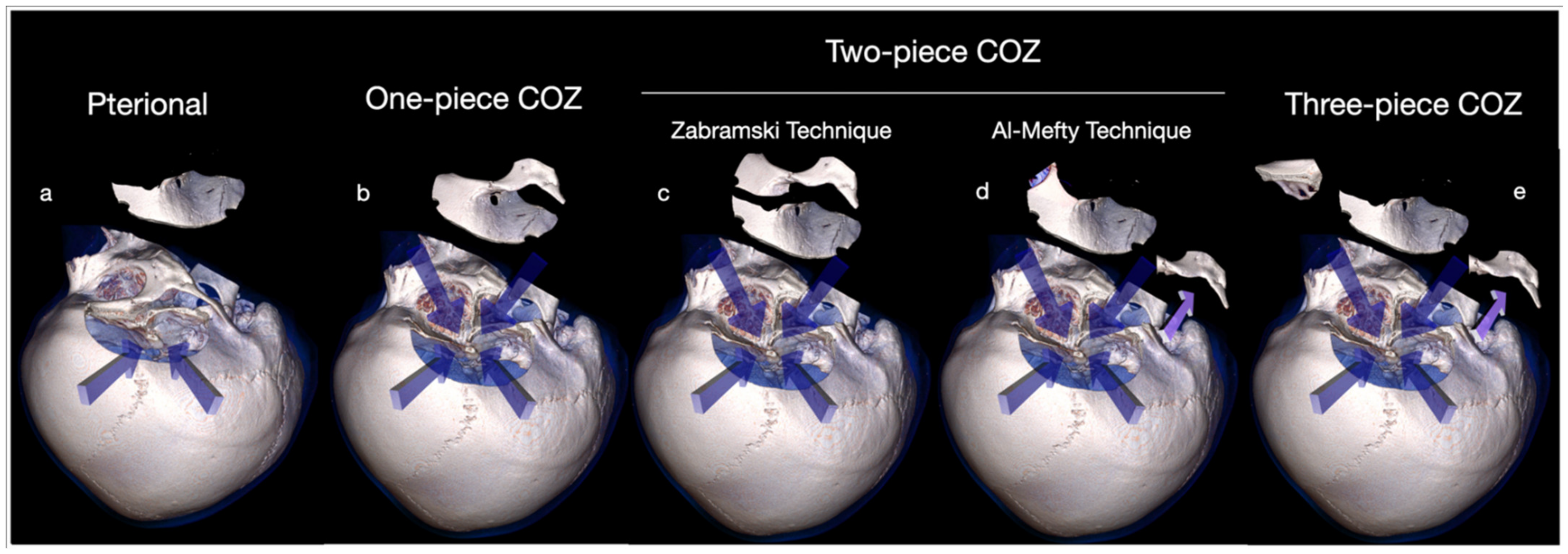 Brainsci 12 00405 g009