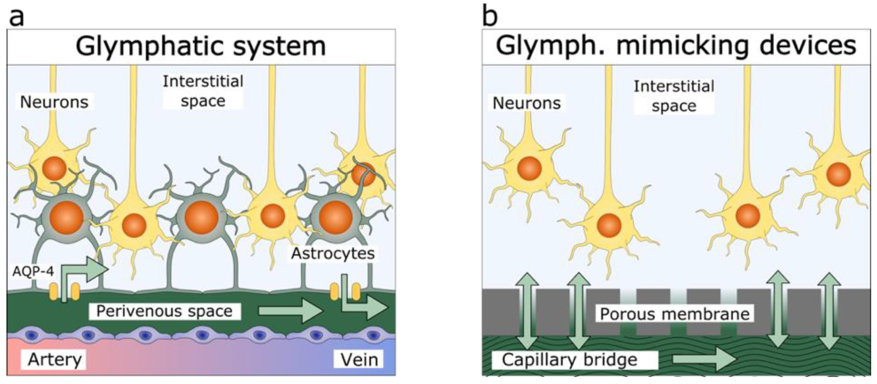 Brainsci 12 00417 g001