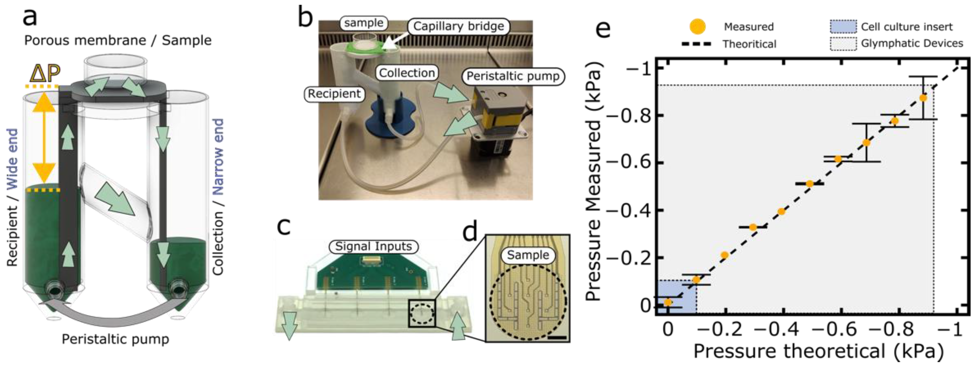 Brainsci 12 00417 g002