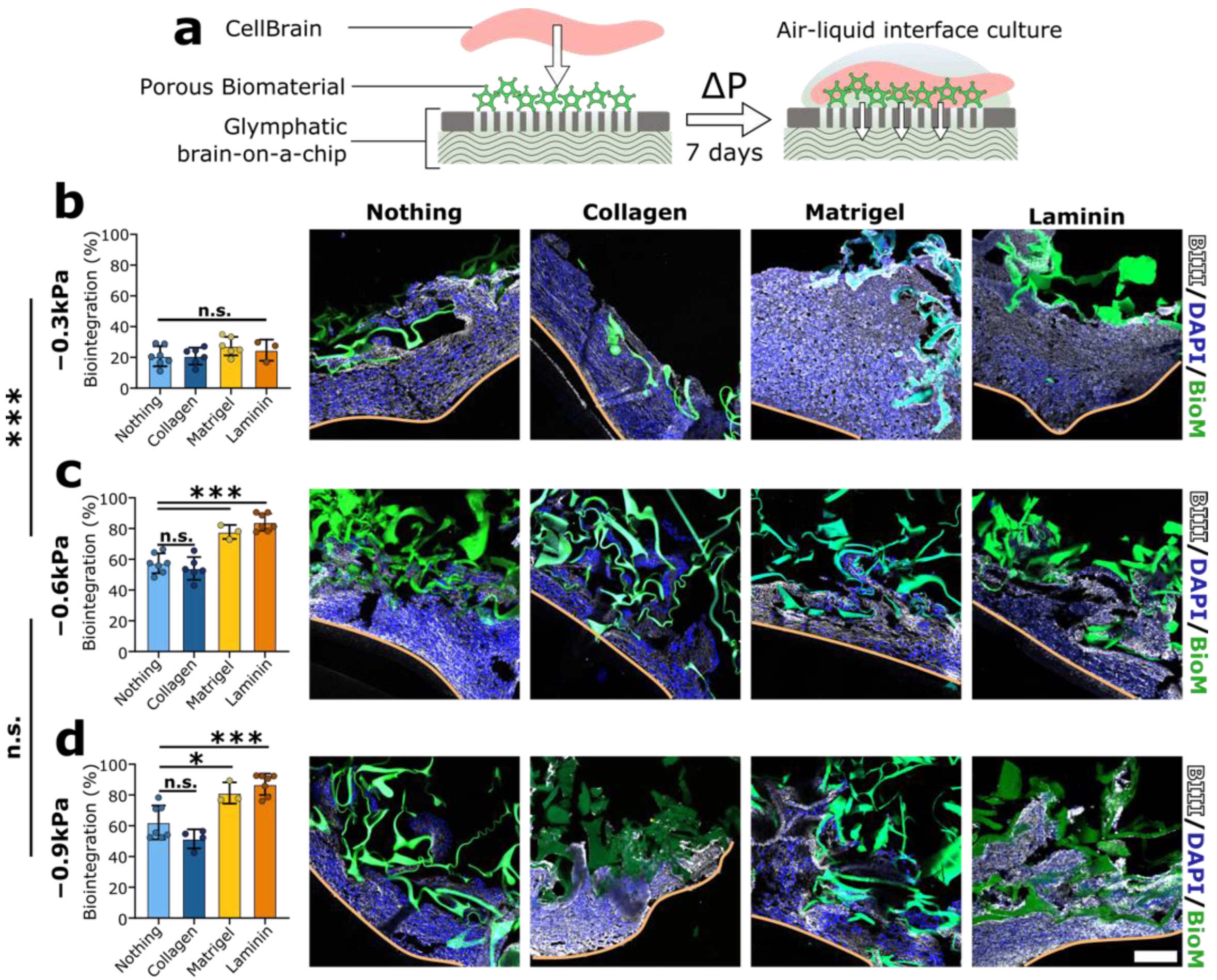 Brainsci 12 00417 g004