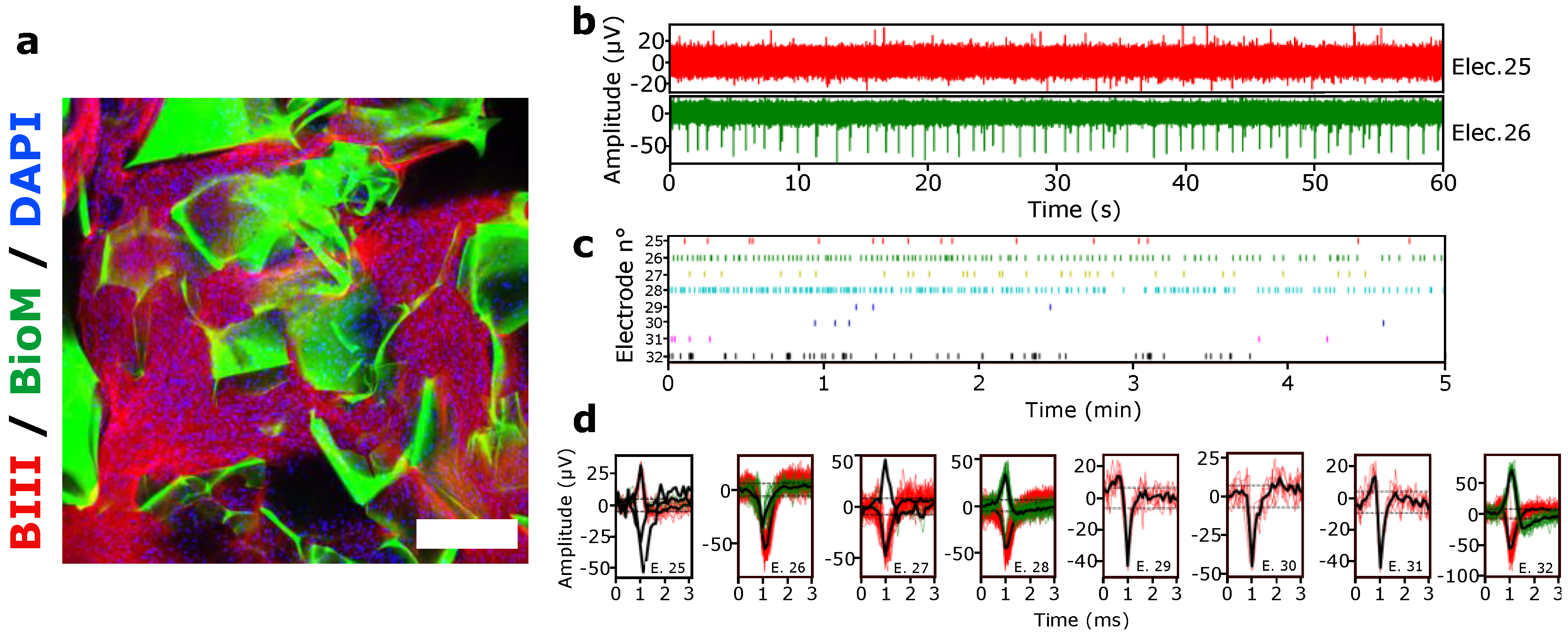 Brainsci 12 00417 g005