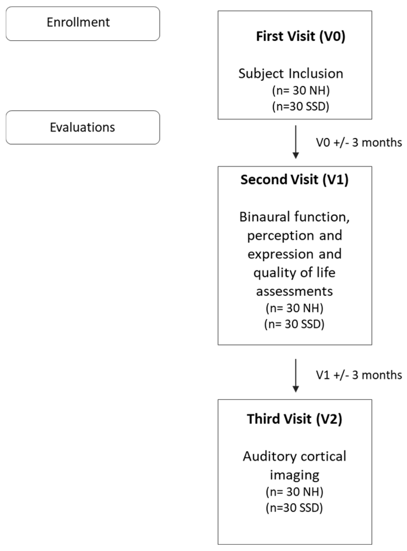 Brainsci 12 00423 g003