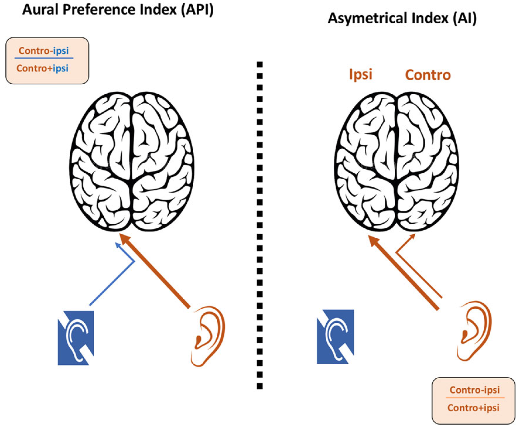 Brainsci 12 00423 g005