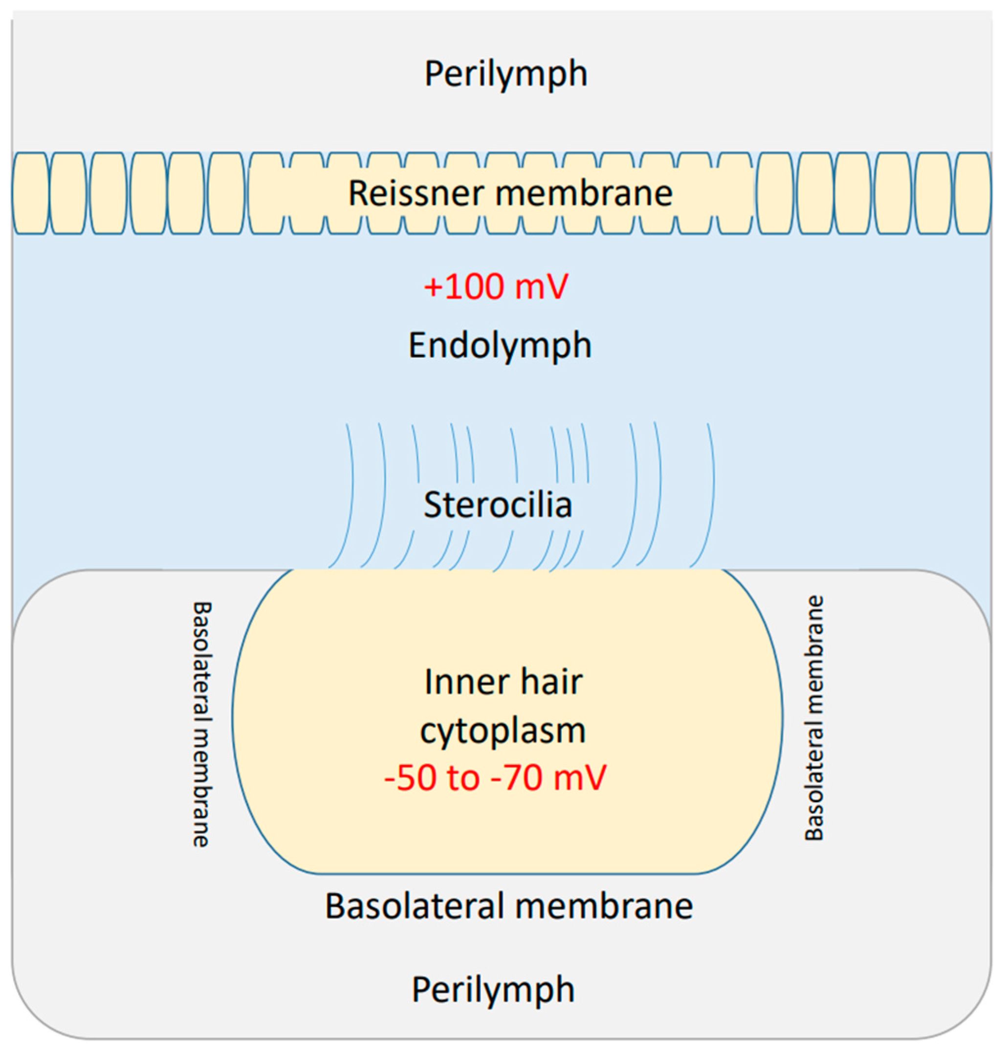 Brainsci 12 00426 g003 Brainsci 12 00426 g003